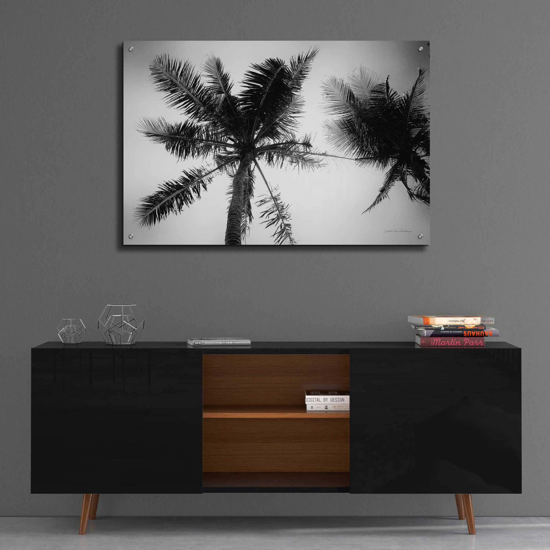 Epic Art 'Palm Tree Looking Up II' by Debra Van Swearingen, Acrylic Glass Wall Art,36x24