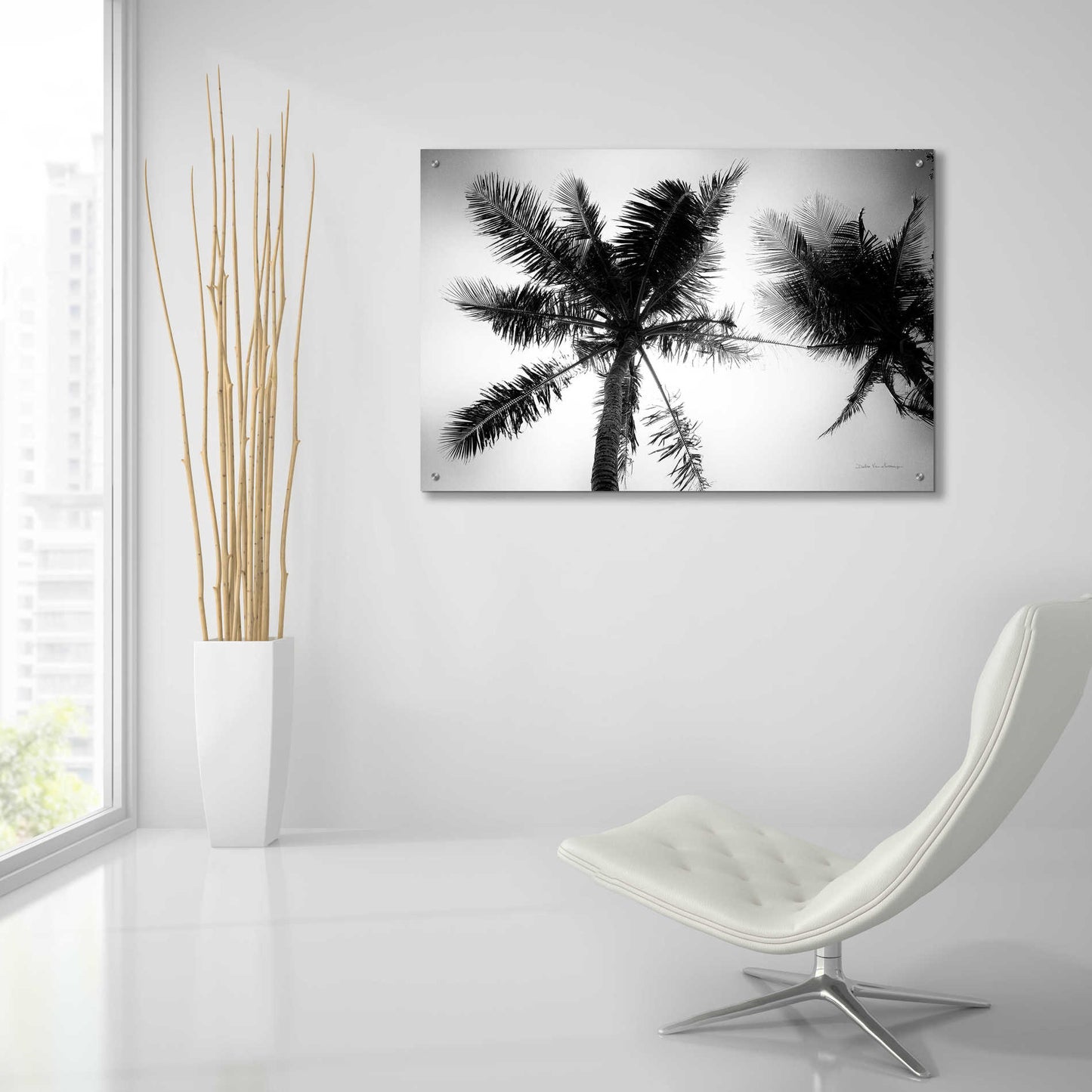 Epic Art 'Palm Tree Looking Up II' by Debra Van Swearingen, Acrylic Glass Wall Art,36x24