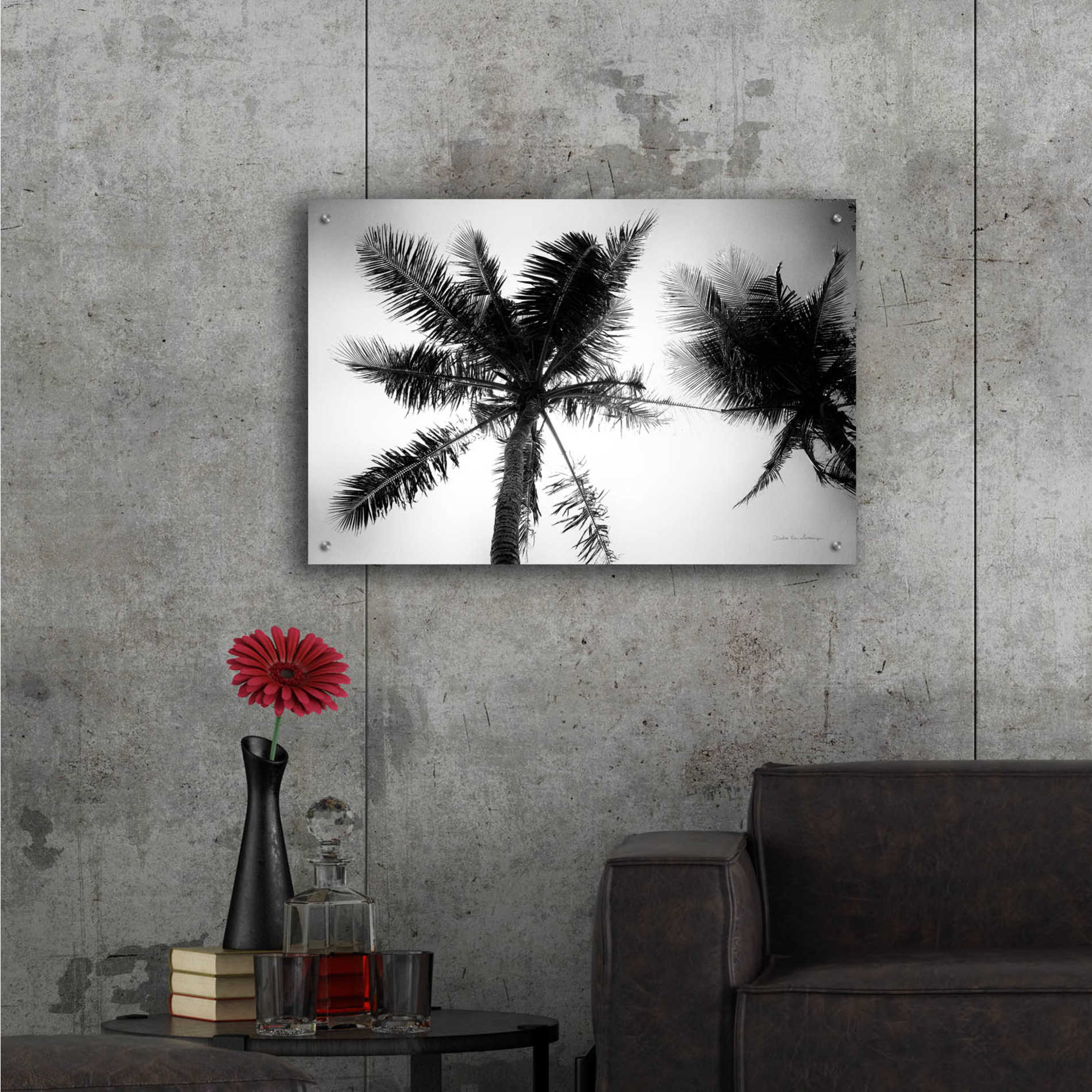 Epic Art 'Palm Tree Looking Up II' by Debra Van Swearingen, Acrylic Glass Wall Art,36x24