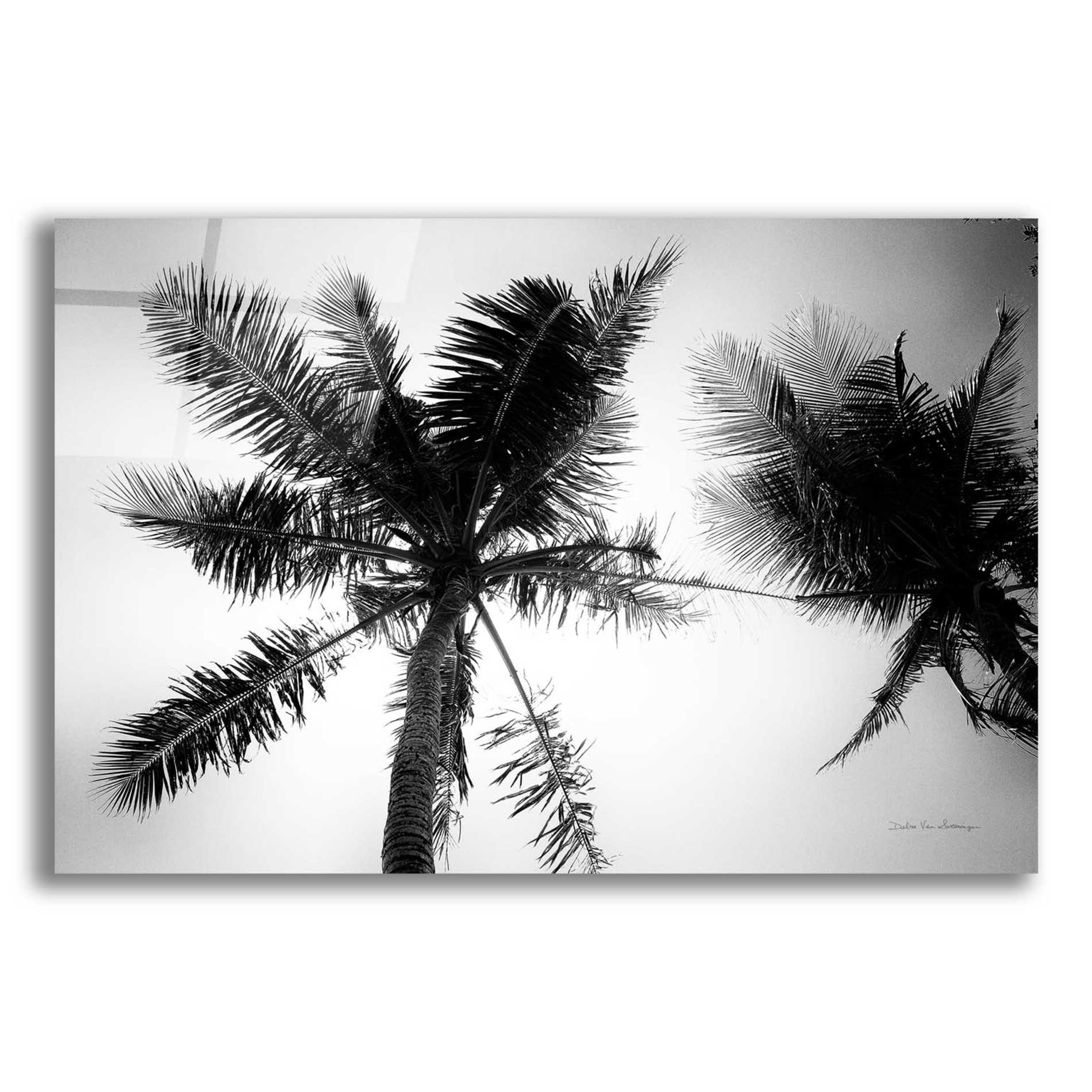 Epic Art 'Palm Tree Looking Up II' by Debra Van Swearingen, Acrylic Glass Wall Art