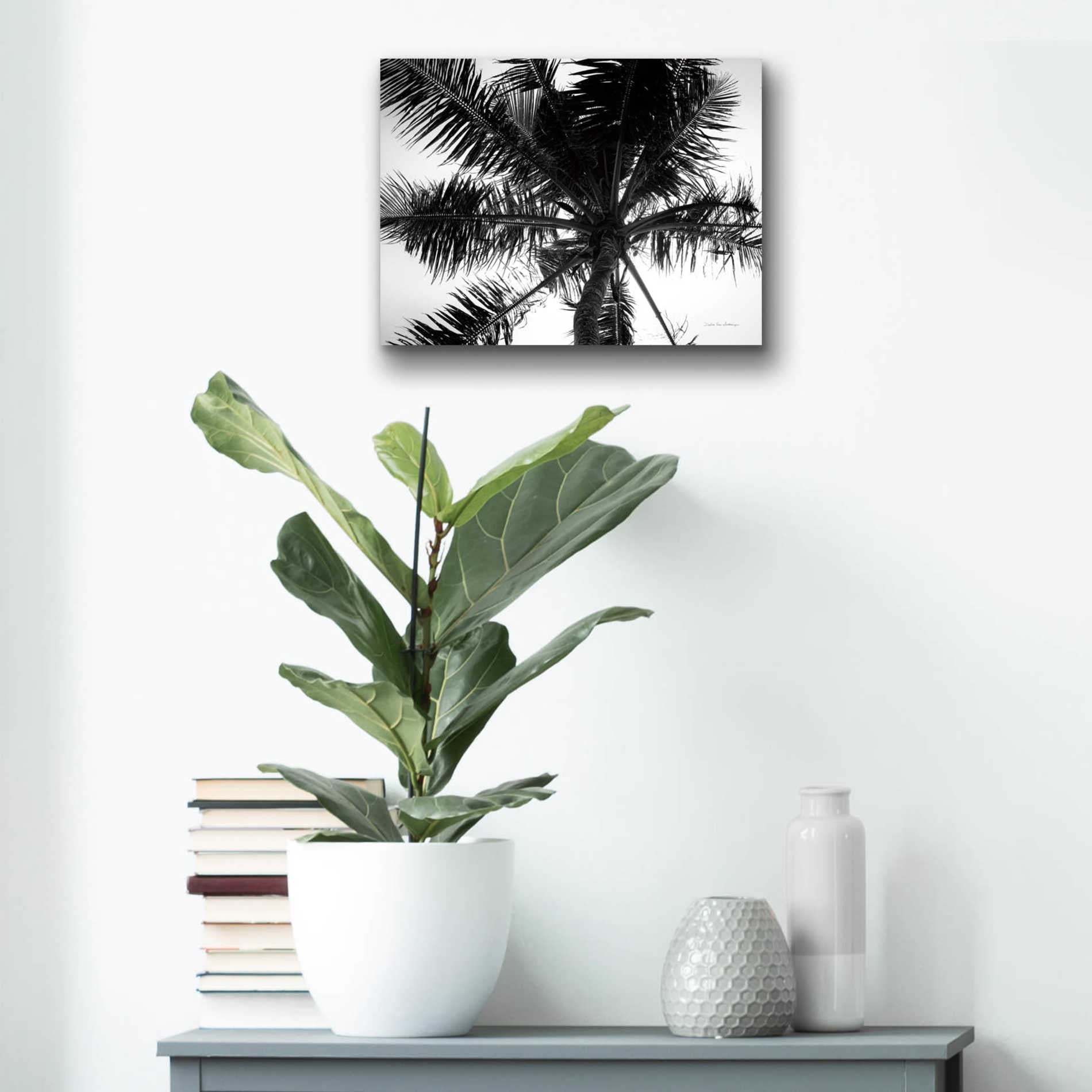 Epic Art 'Palm Tree Looking Up III' by Debra Van Swearingen, Acrylic Glass Wall Art,16x12