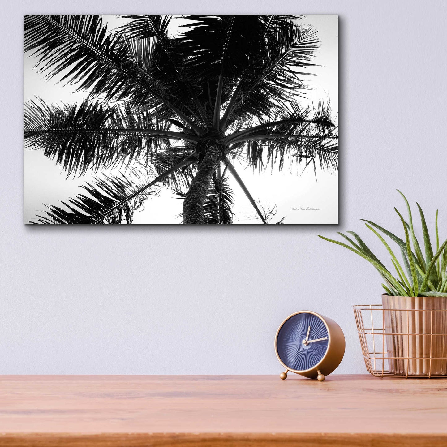 Epic Art 'Palm Tree Looking Up III' by Debra Van Swearingen, Acrylic Glass Wall Art,16x12