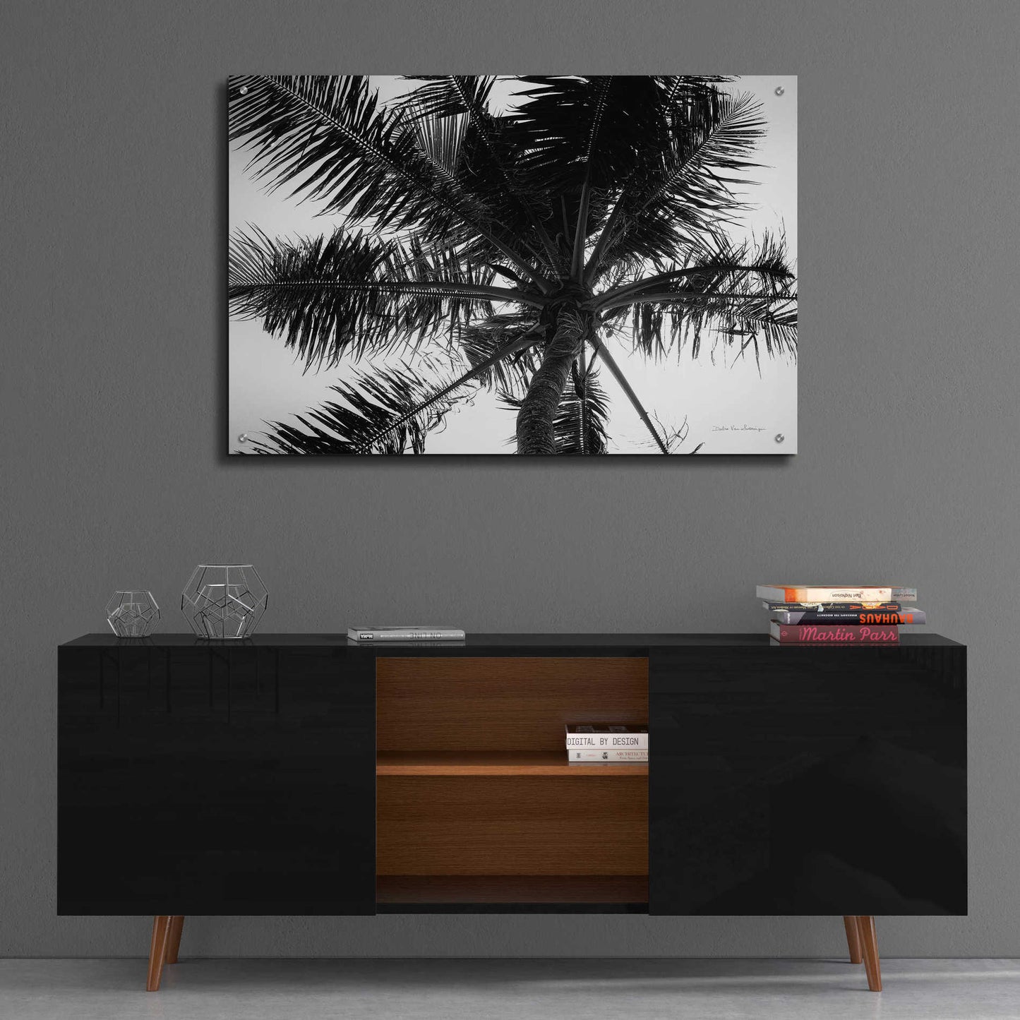 Epic Art 'Palm Tree Looking Up III' by Debra Van Swearingen, Acrylic Glass Wall Art,36x24