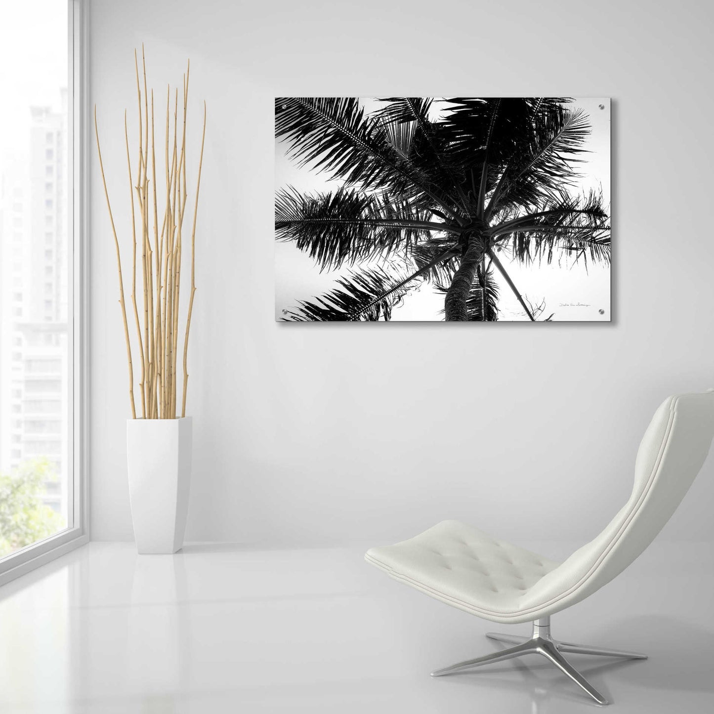 Epic Art 'Palm Tree Looking Up III' by Debra Van Swearingen, Acrylic Glass Wall Art,36x24