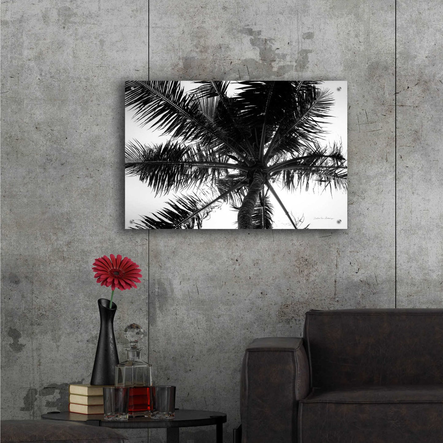 Epic Art 'Palm Tree Looking Up III' by Debra Van Swearingen, Acrylic Glass Wall Art,36x24