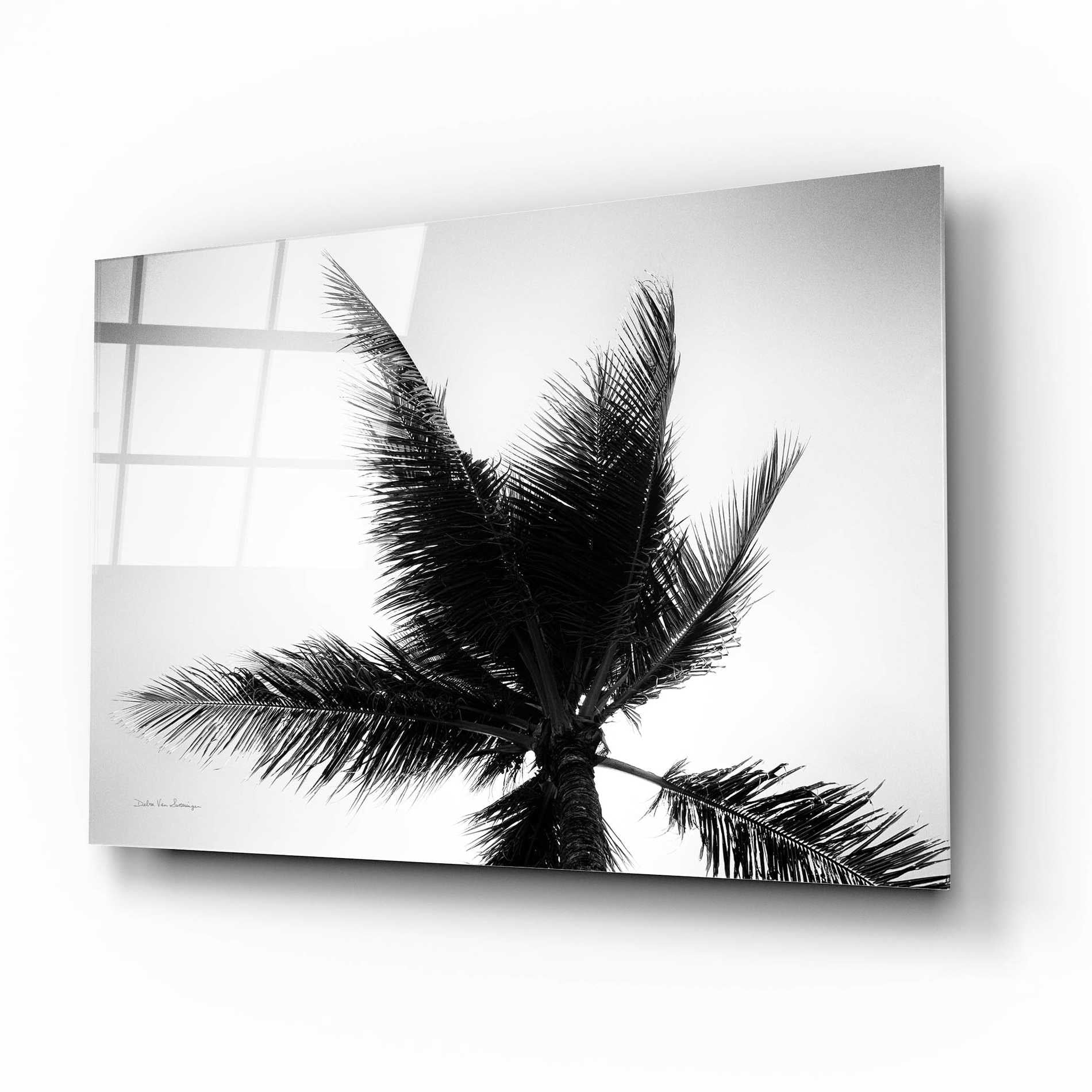 Epic Art 'Palm Tree Looking Up IV' by Debra Van Swearingen, Acrylic Glass Wall Art,16x12