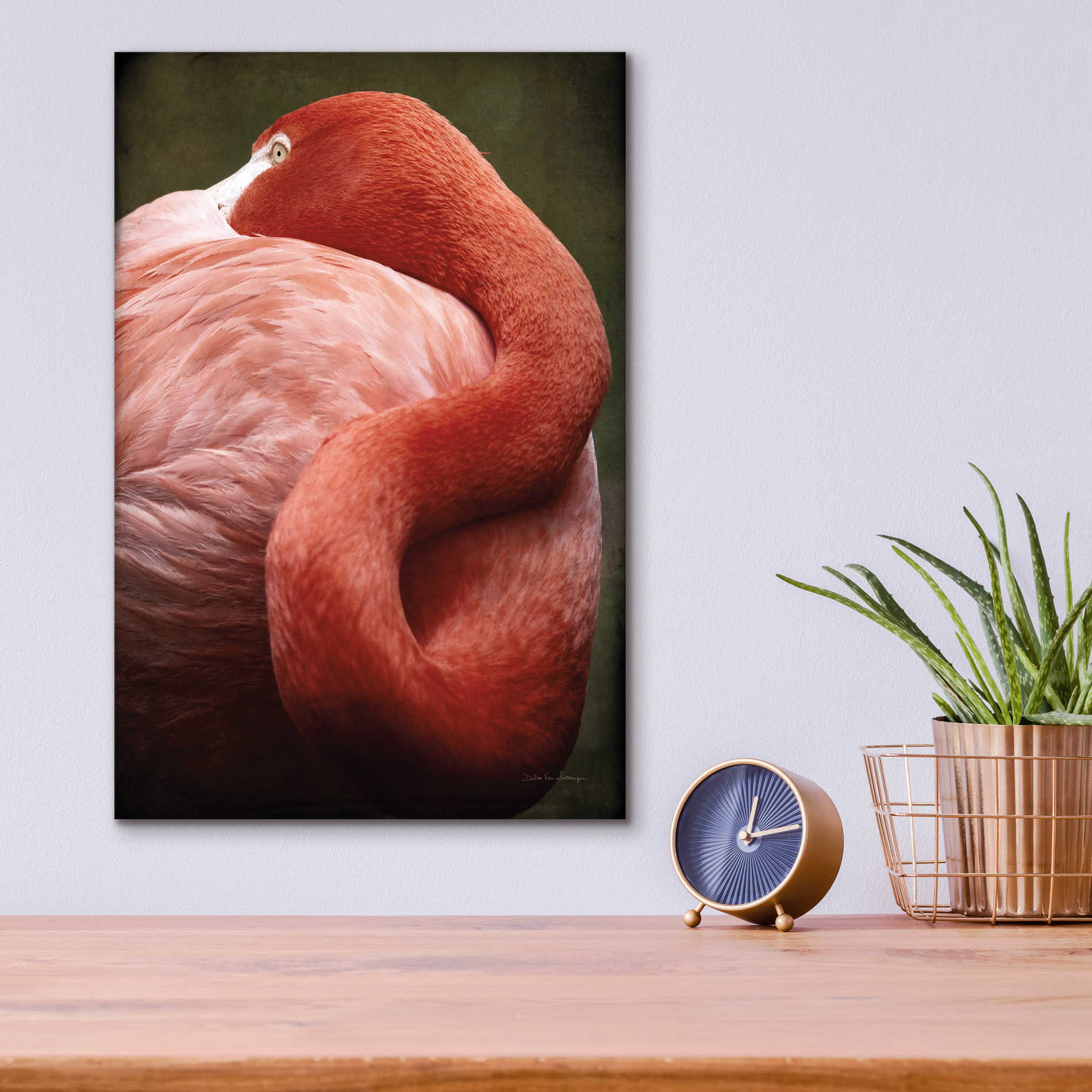 Epic Art 'Caribbean Flamingo I' by Debra Van Swearingen, Acrylic Glass Wall Art,12x16