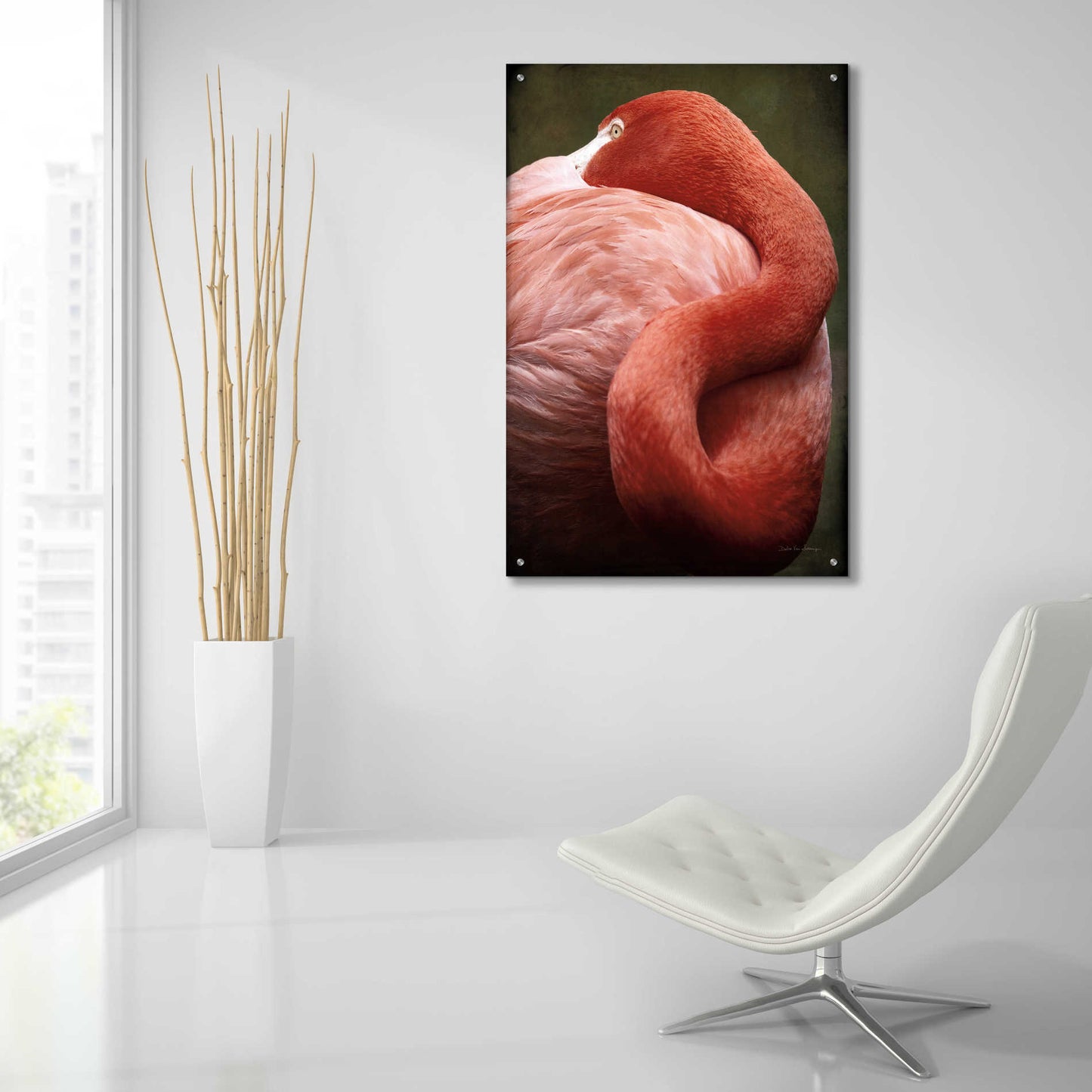 Epic Art 'Caribbean Flamingo I' by Debra Van Swearingen, Acrylic Glass Wall Art,24x36