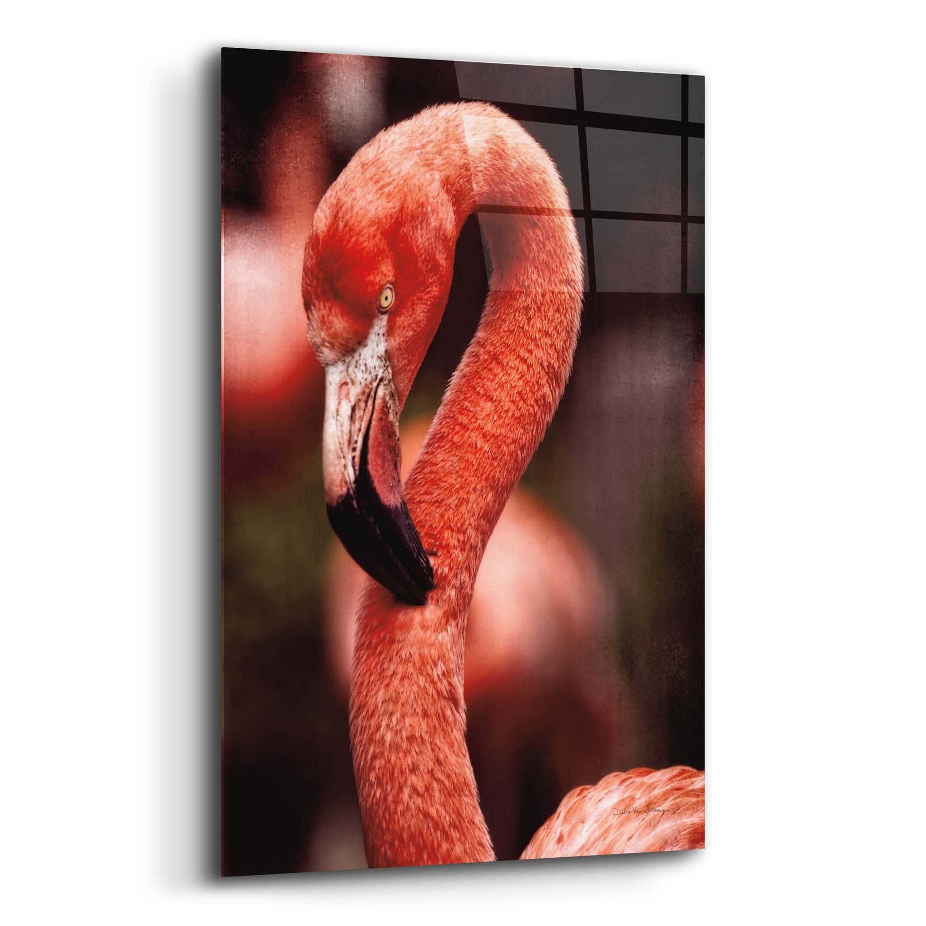 Epic Art 'Caribbean Flamingo II' by Debra Van Swearingen, Acrylic Glass Wall Art,12x16