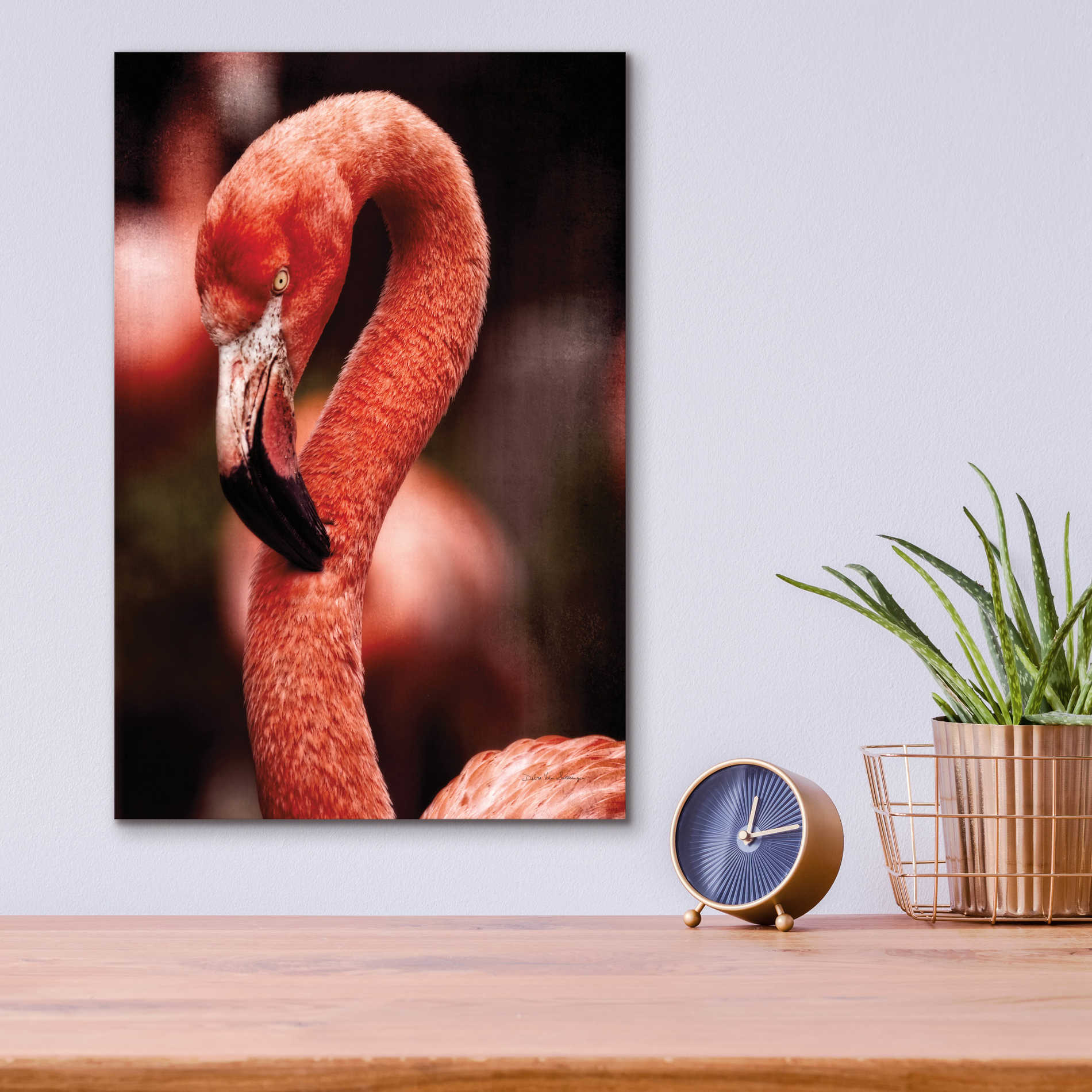 Epic Art 'Caribbean Flamingo II' by Debra Van Swearingen, Acrylic Glass Wall Art,12x16