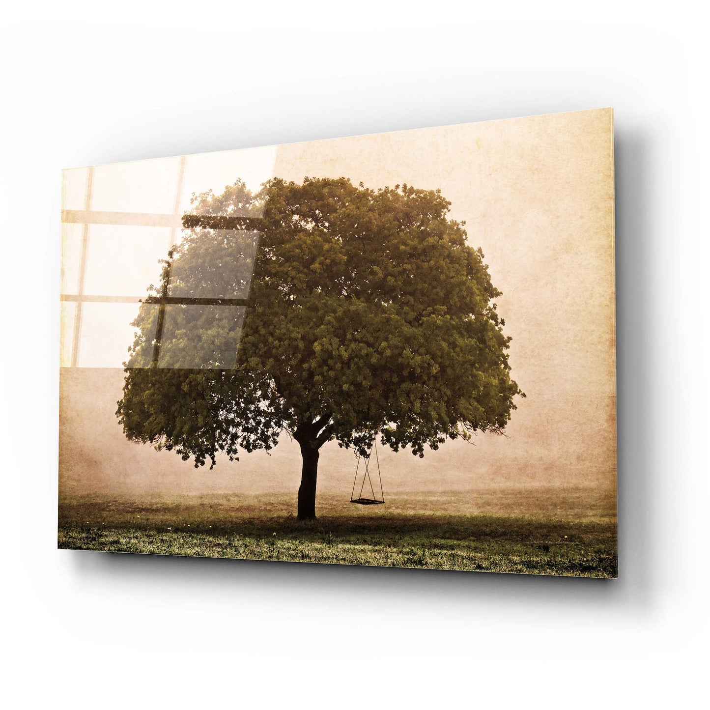 Epic Art 'The Hopeful Oak' by Debra Van Swearingen, Acrylic Glass Wall Art,24x16