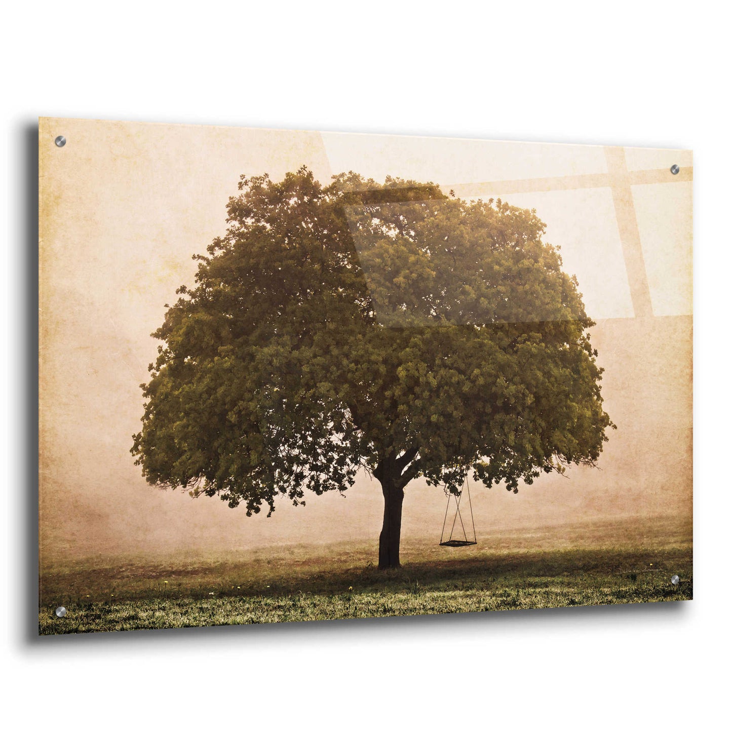 Epic Art 'The Hopeful Oak' by Debra Van Swearingen, Acrylic Glass Wall Art,36x24