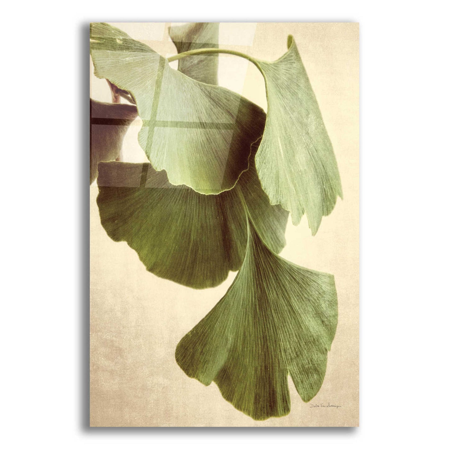 Epic Art 'Gingko Color' by Debra Van Swearingen, Acrylic Glass Wall Art,12x16