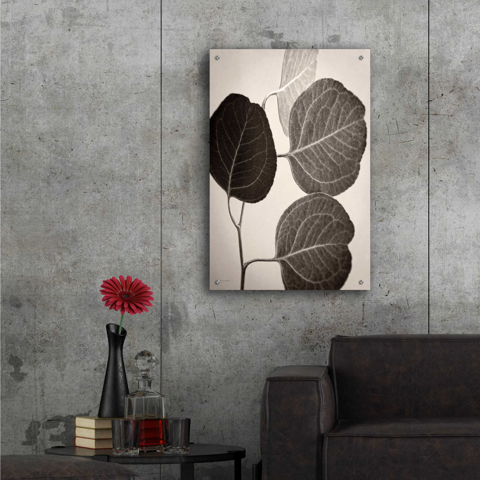 Epic Art 'Eucalyptus Sepia' by Debra Van Swearingen, Acrylic Glass Wall Art,24x36