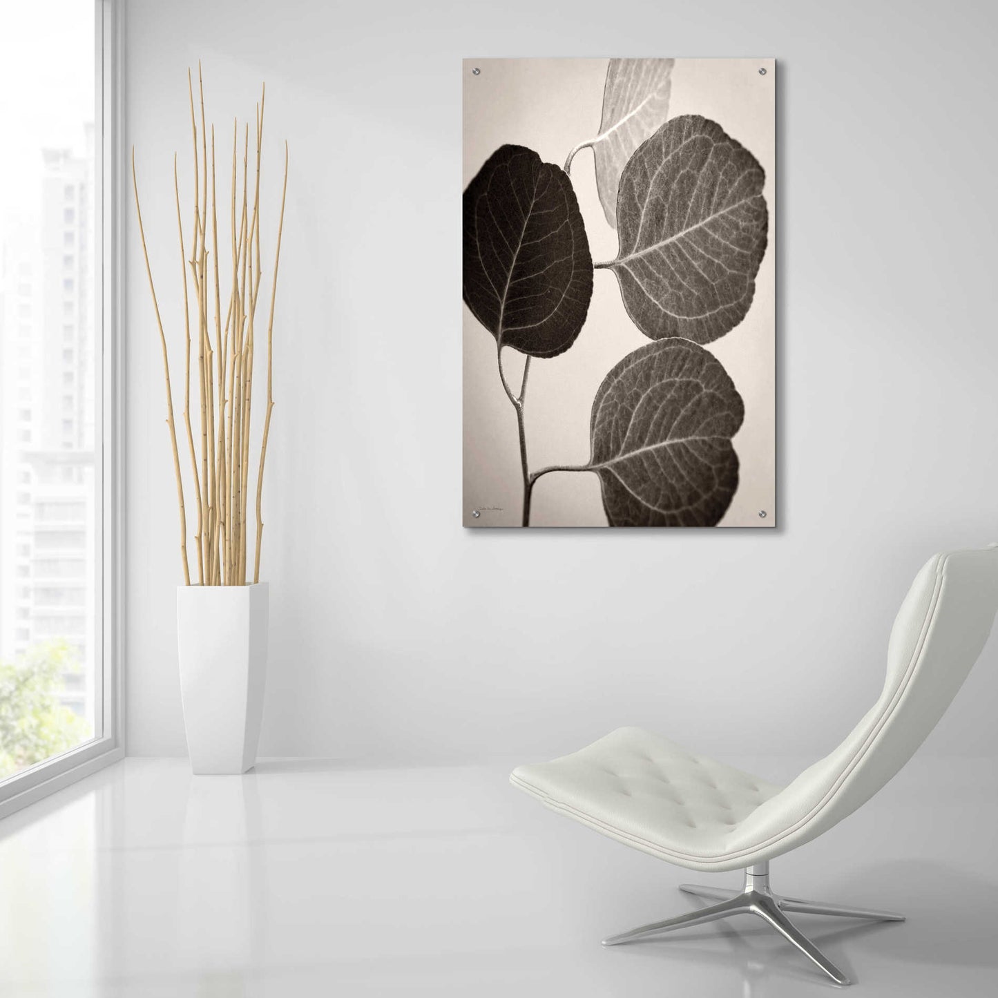 Epic Art 'Eucalyptus Sepia' by Debra Van Swearingen, Acrylic Glass Wall Art,24x36