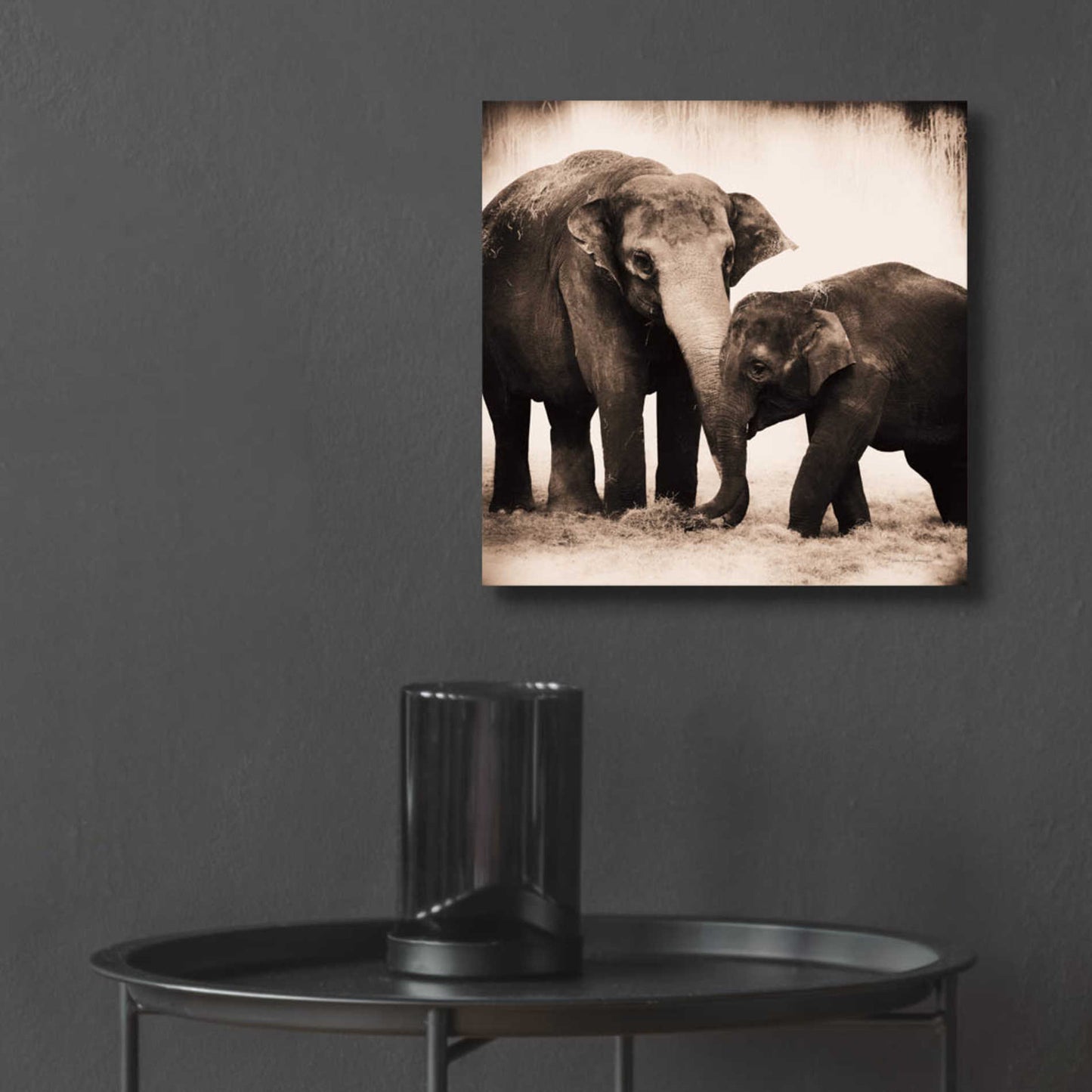 Epic Art 'Elephant III Sepia' by Debra Van Swearingen, Acrylic Glass Wall Art,12x12