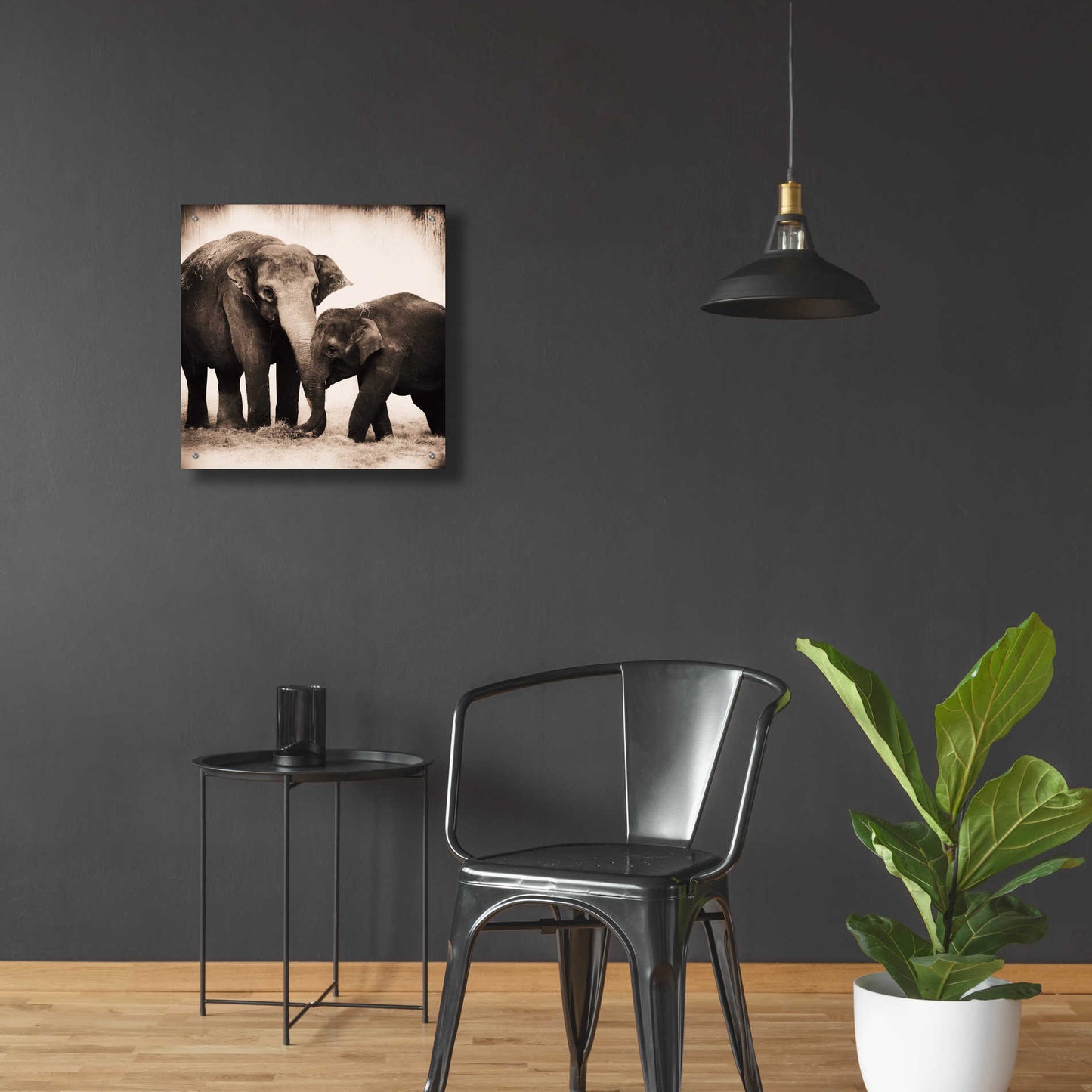 Epic Art 'Elephant III Sepia' by Debra Van Swearingen, Acrylic Glass Wall Art,24x24