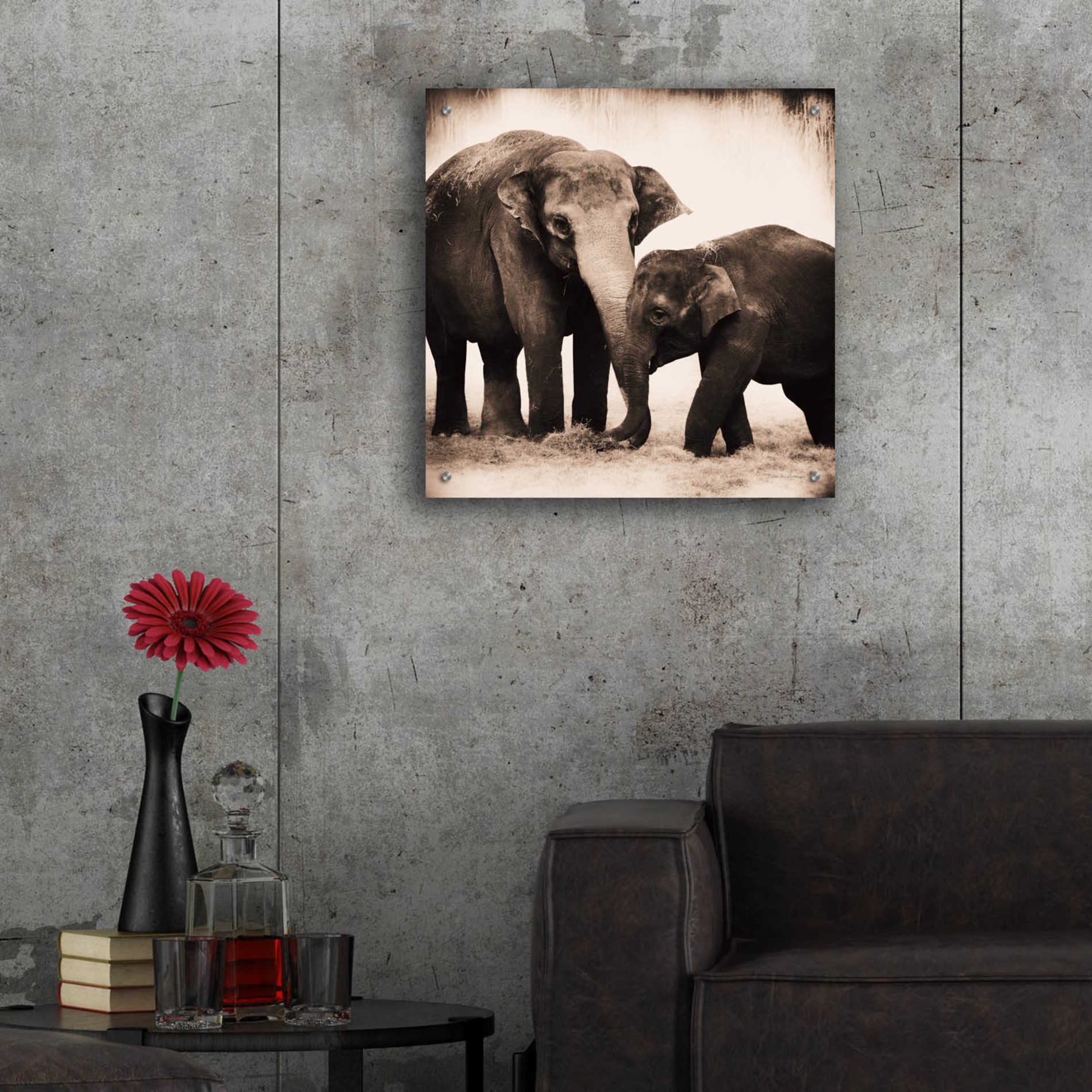 Epic Art 'Elephant III Sepia' by Debra Van Swearingen, Acrylic Glass Wall Art,24x24