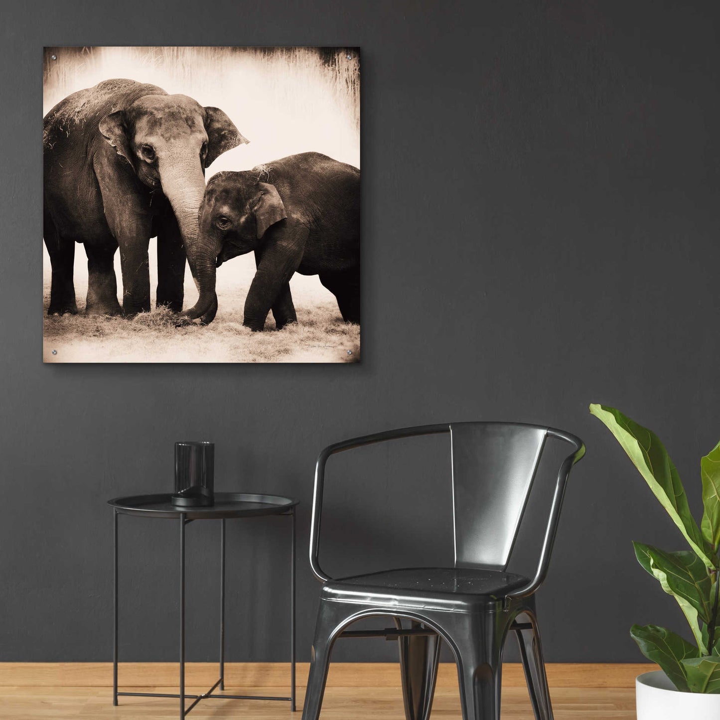 Epic Art 'Elephant III Sepia' by Debra Van Swearingen, Acrylic Glass Wall Art,36x36