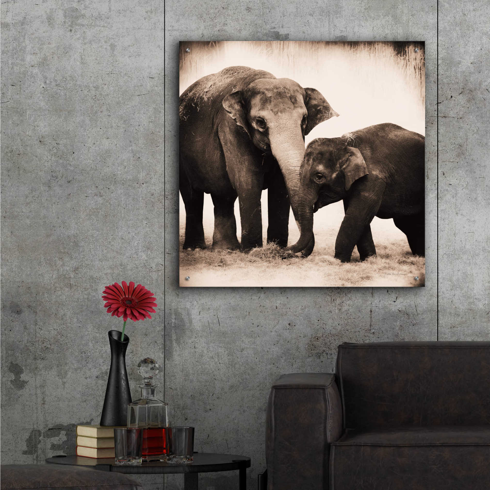 Epic Art 'Elephant III Sepia' by Debra Van Swearingen, Acrylic Glass Wall Art,36x36