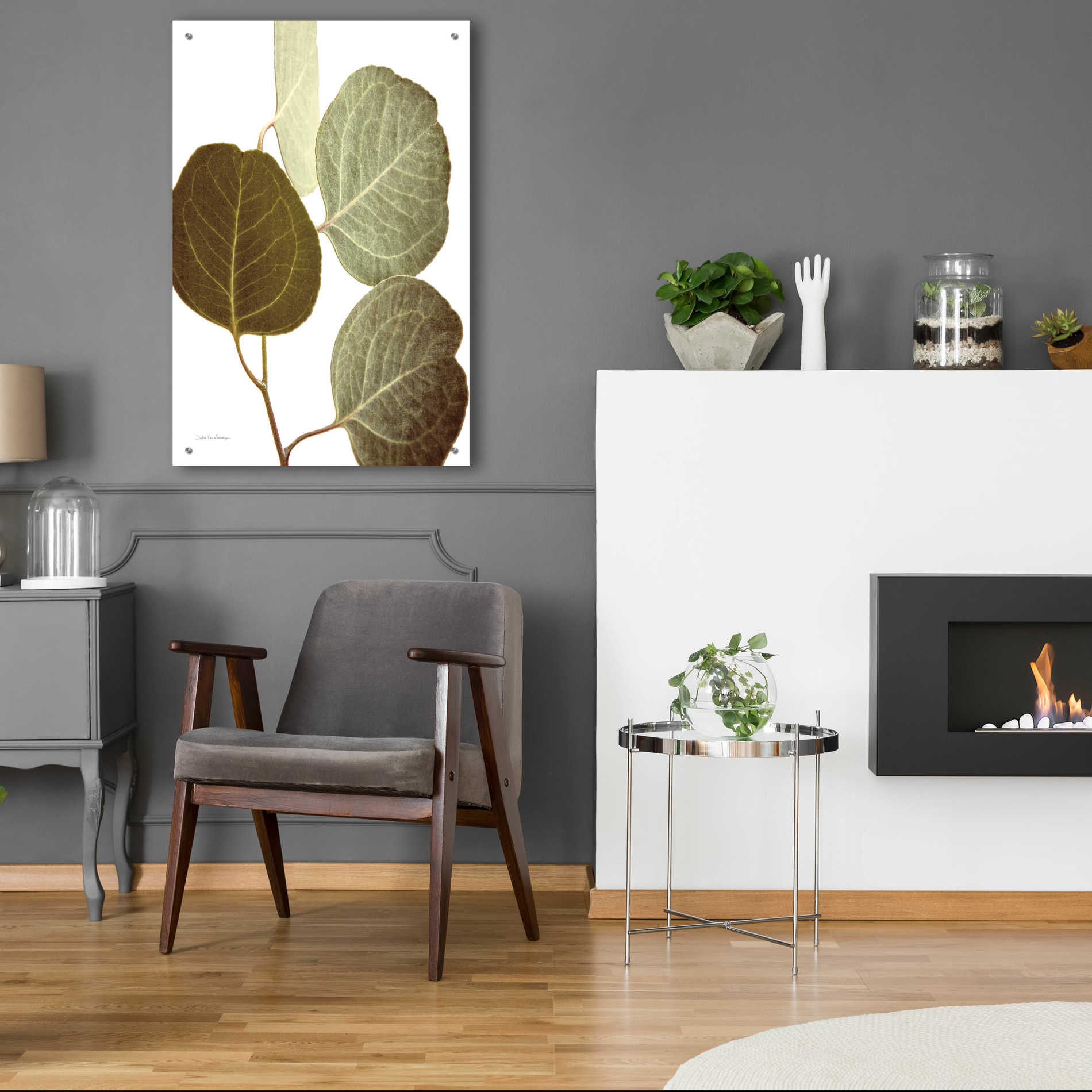 Epic Art 'Eucalyptus Color on White' by Debra Van Swearingen, Acrylic Glass Wall Art,24x36