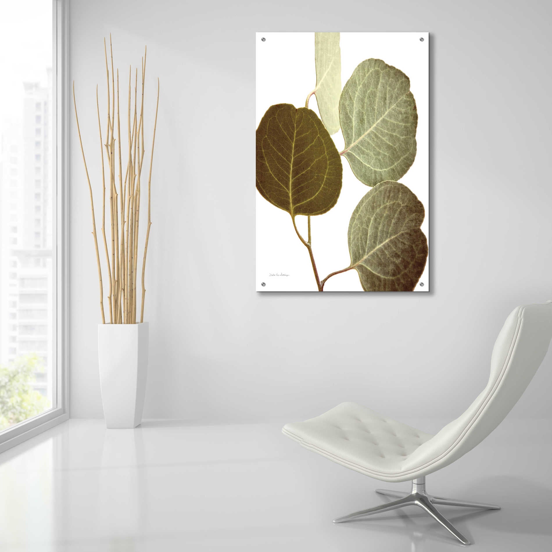 Epic Art 'Eucalyptus Color on White' by Debra Van Swearingen, Acrylic Glass Wall Art,24x36