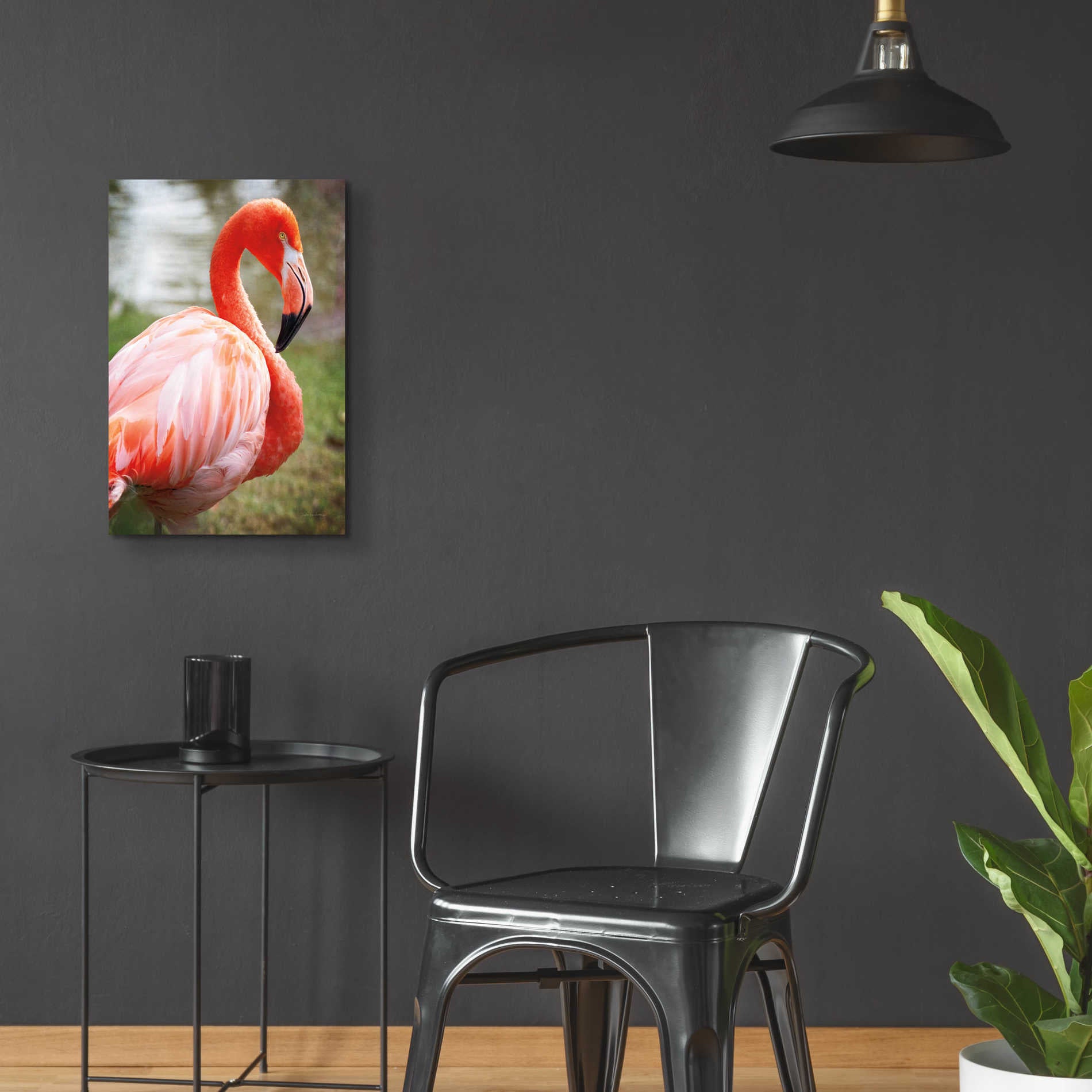 Epic Art 'Flamingo I' by Debra Van Swearingen, Acrylic Glass Wall Art,16x24
