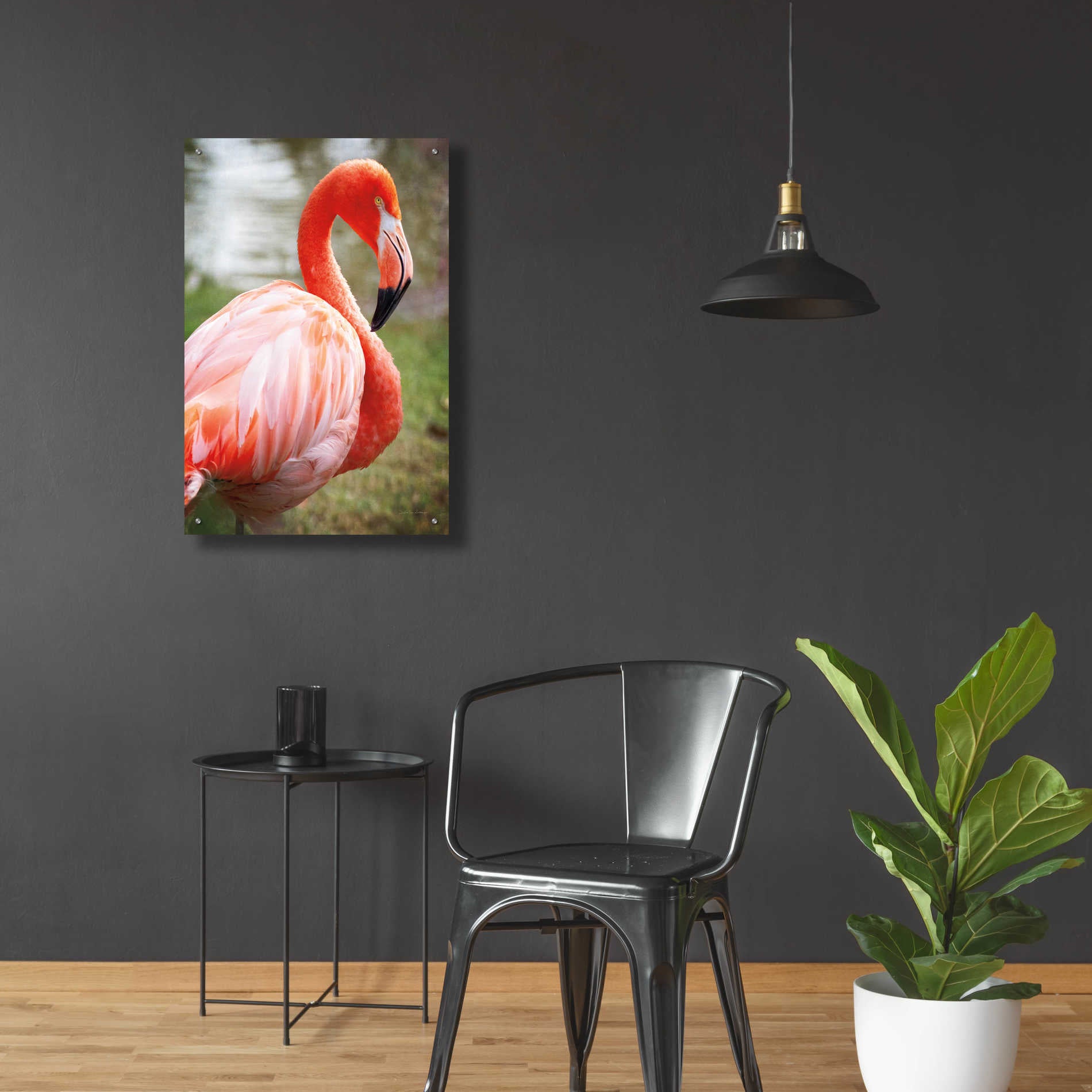 Epic Art 'Flamingo I' by Debra Van Swearingen, Acrylic Glass Wall Art,24x36