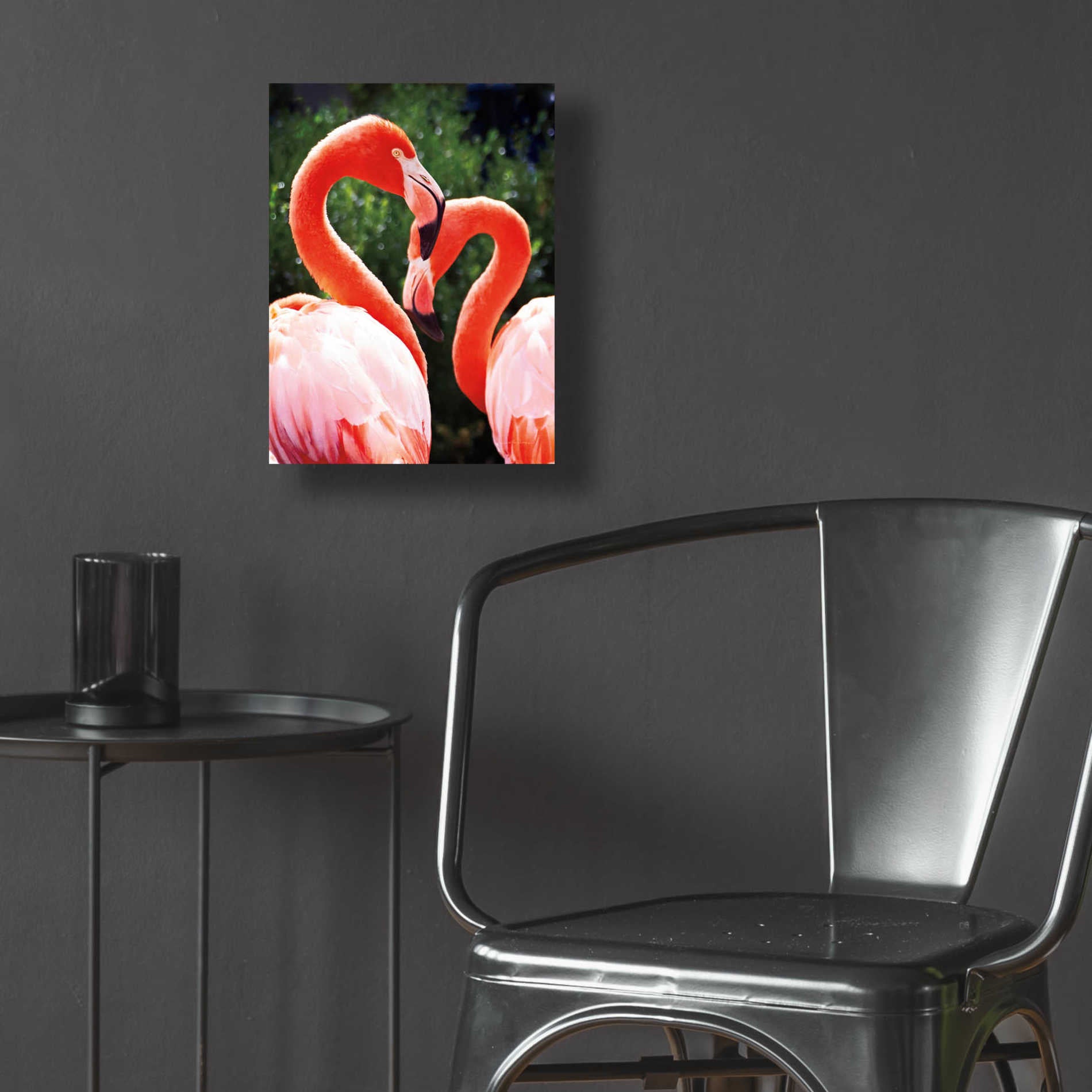 Epic Art 'Flamingo II' by Debra Van Swearingen, Acrylic Glass Wall Art,12x16