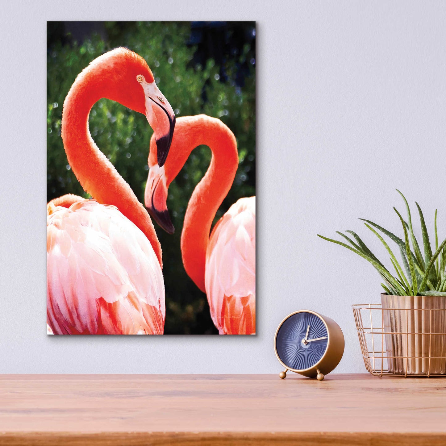 Epic Art 'Flamingo II' by Debra Van Swearingen, Acrylic Glass Wall Art,12x16