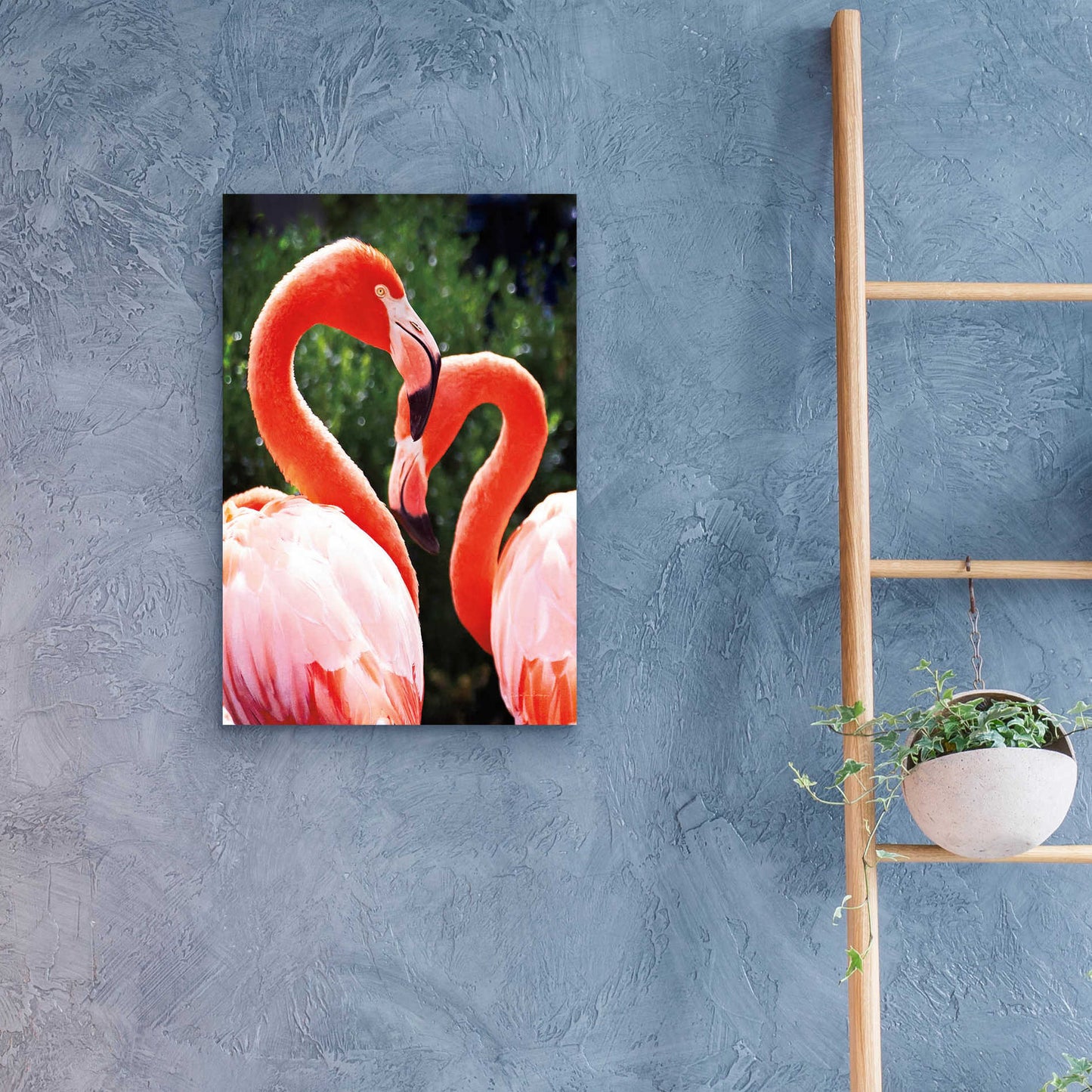 Epic Art 'Flamingo II' by Debra Van Swearingen, Acrylic Glass Wall Art,16x24