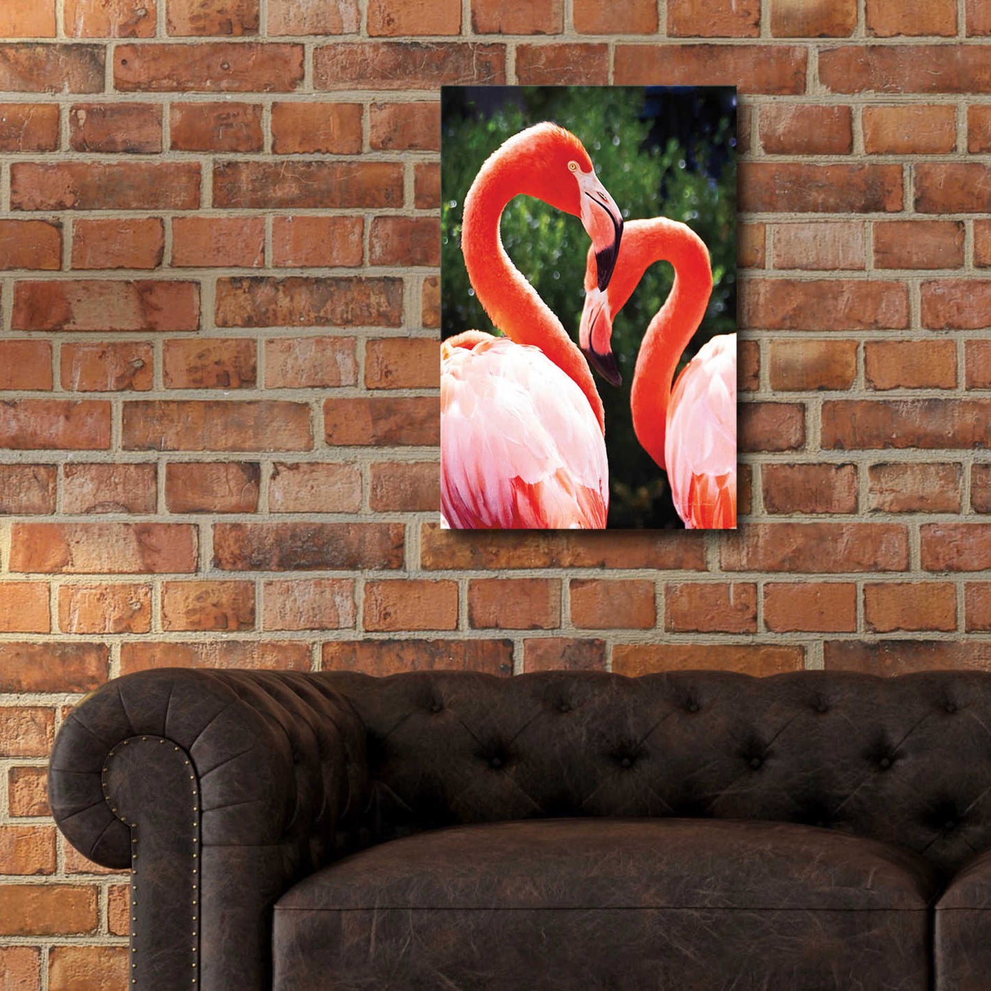 Epic Art 'Flamingo II' by Debra Van Swearingen, Acrylic Glass Wall Art,16x24