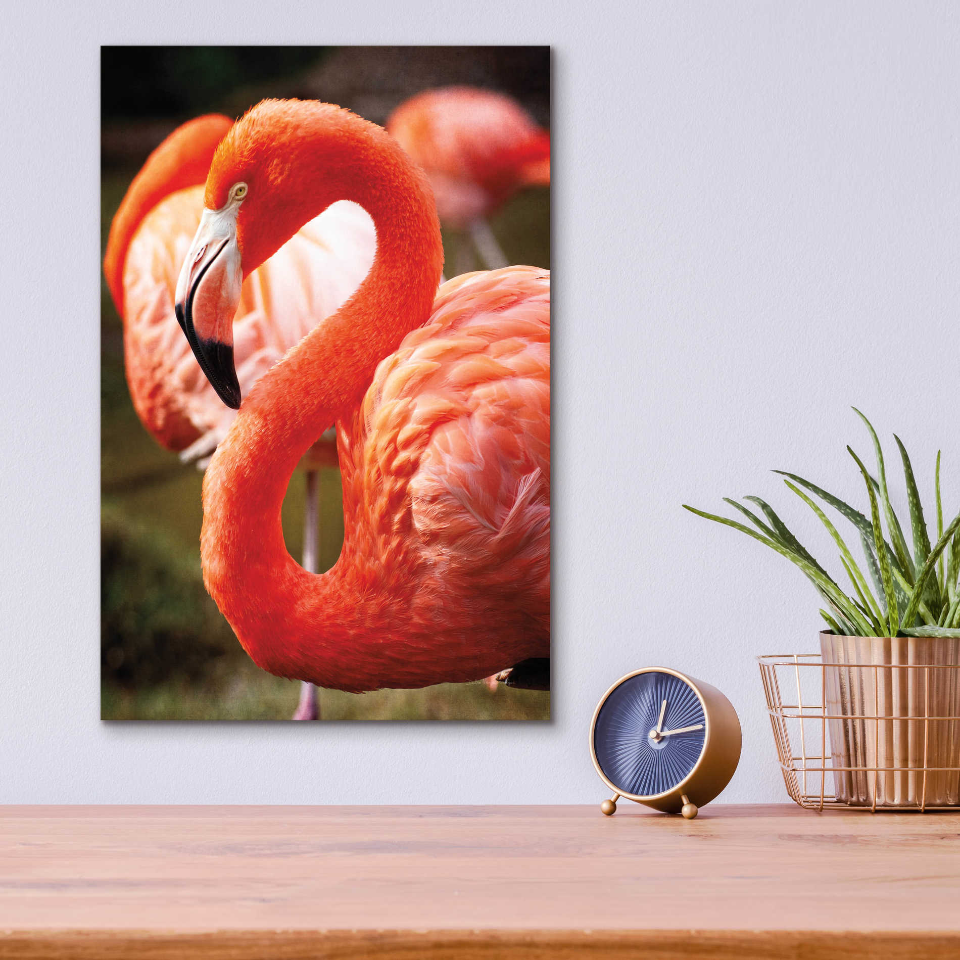 Epic Art 'Flamingo III' by Debra Van Swearingen, Acrylic Glass Wall Art,12x16