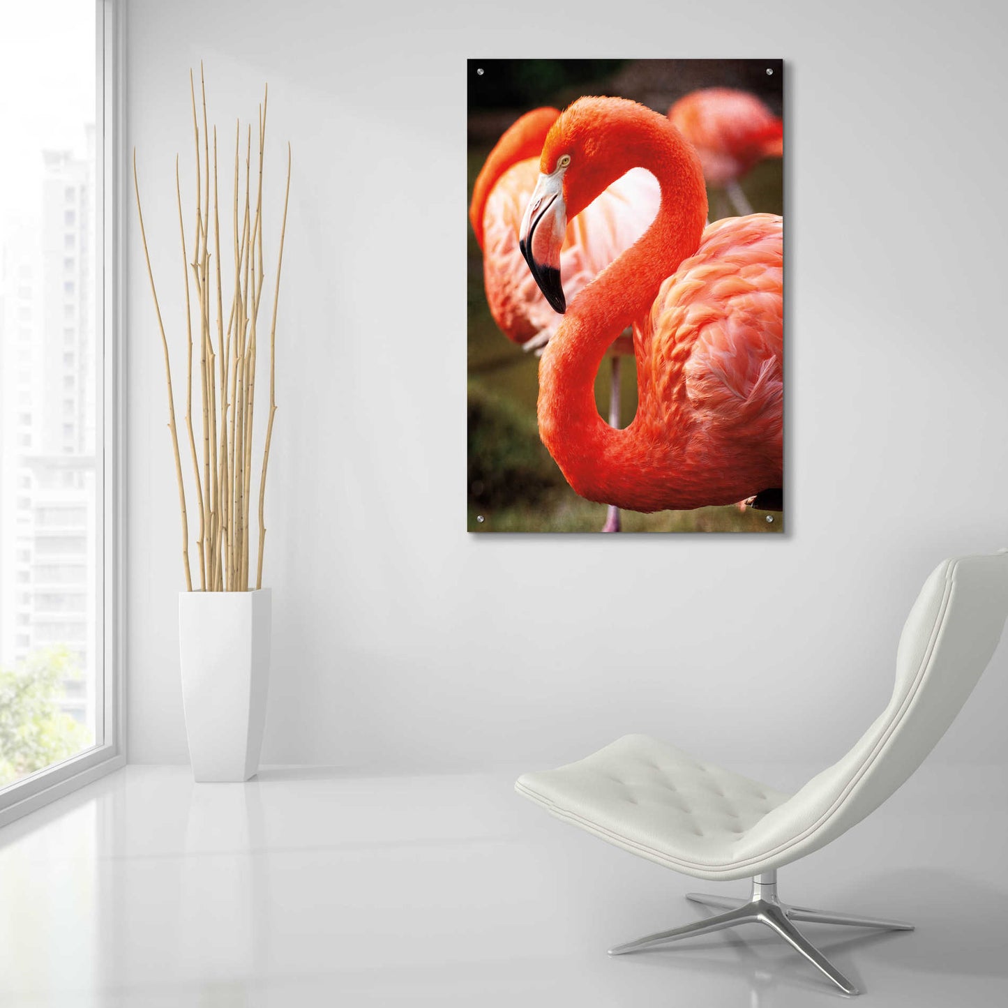 Epic Art 'Flamingo III' by Debra Van Swearingen, Acrylic Glass Wall Art,24x36