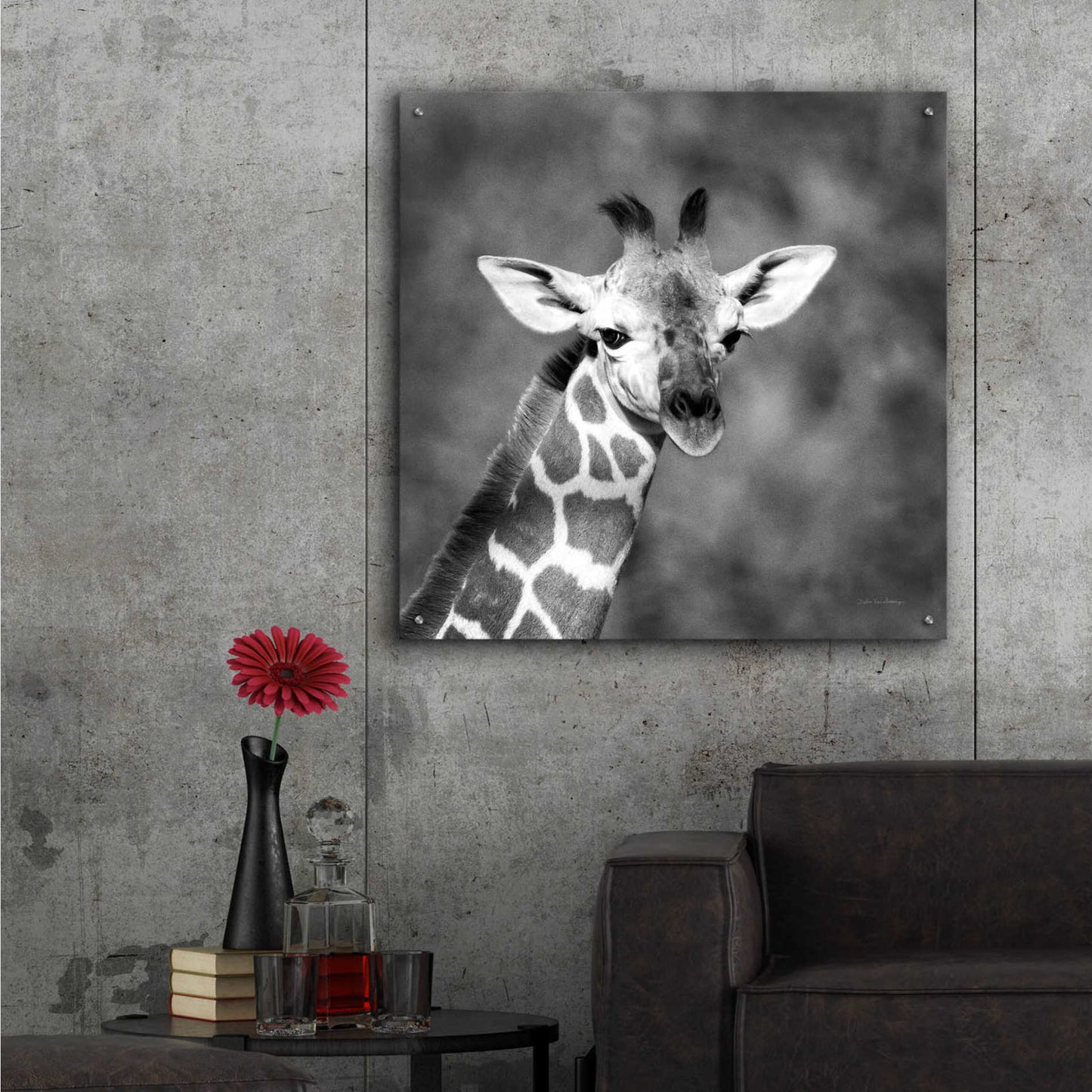 Epic Art 'Little Guy' by Debra Van Swearingen, Acrylic Glass Wall Art,36x36