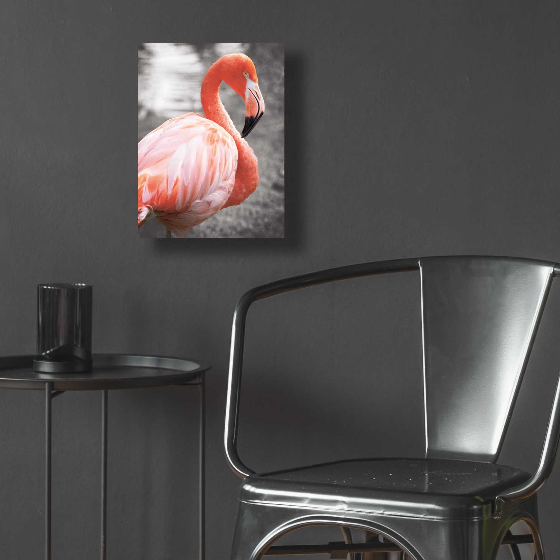 Epic Art 'Flamingo I on BW' by Debra Van Swearingen, Acrylic Glass Wall Art,12x16