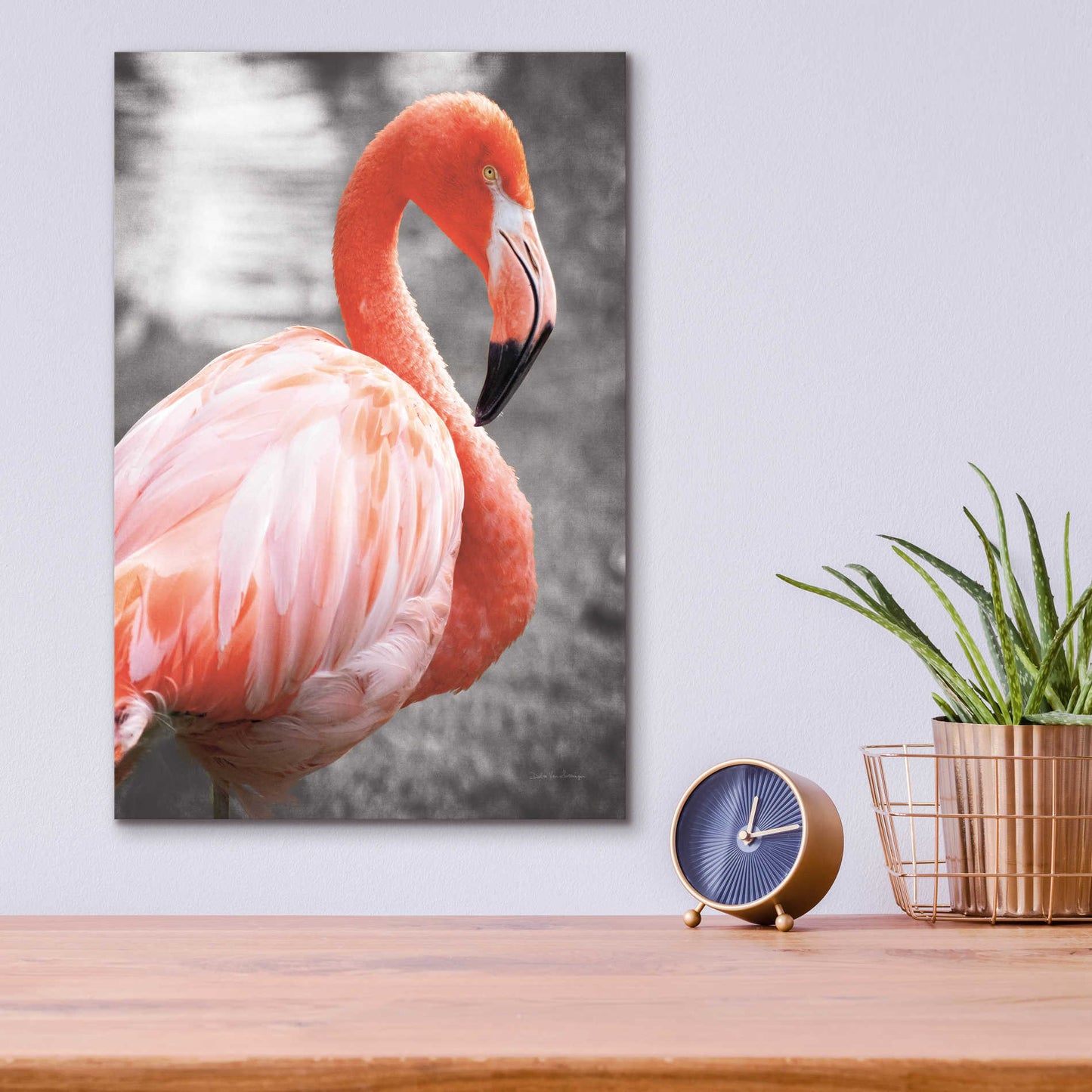 Epic Art 'Flamingo I on BW' by Debra Van Swearingen, Acrylic Glass Wall Art,12x16