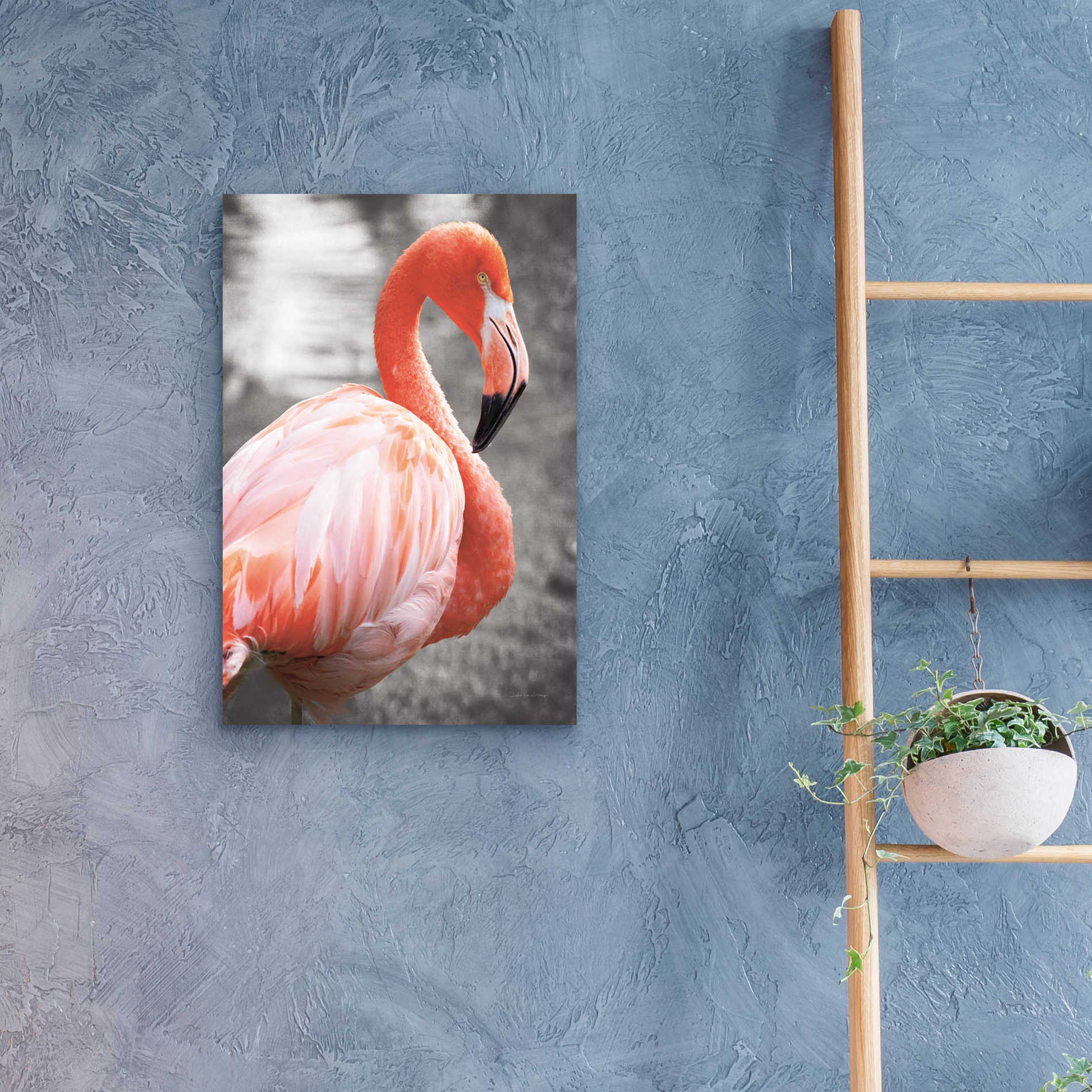 Epic Art 'Flamingo I on BW' by Debra Van Swearingen, Acrylic Glass Wall Art,16x24