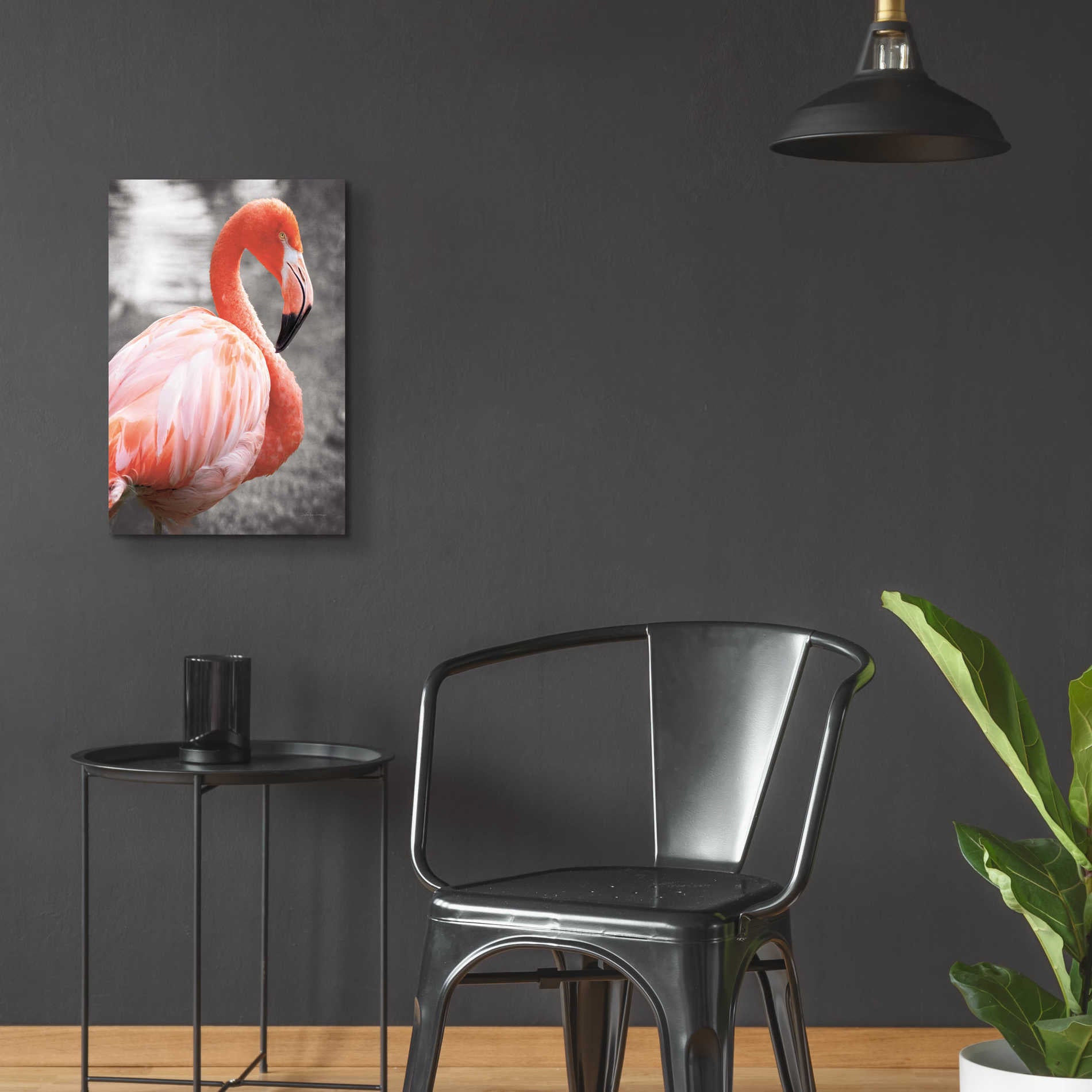 Epic Art 'Flamingo I on BW' by Debra Van Swearingen, Acrylic Glass Wall Art,16x24