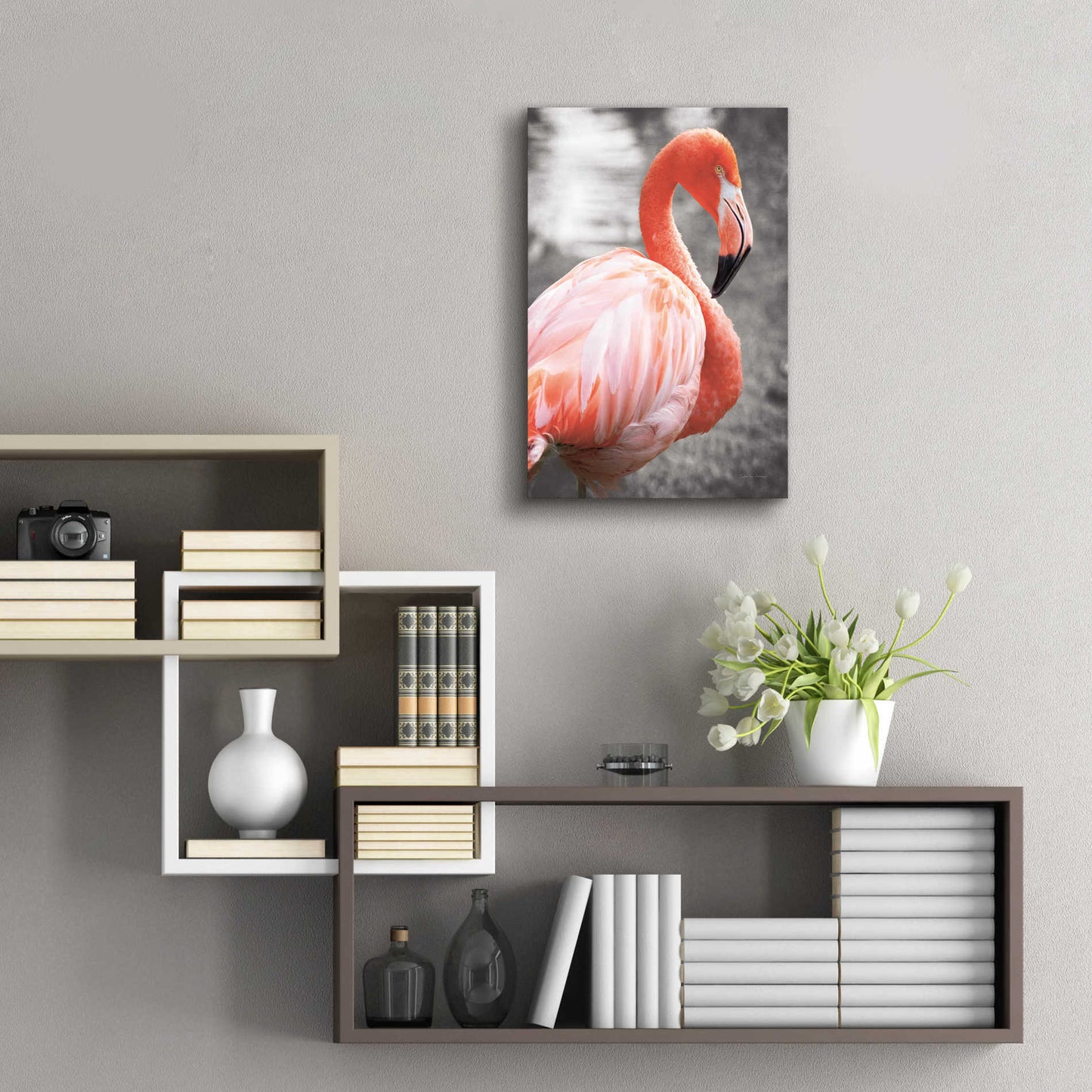 Epic Art 'Flamingo I on BW' by Debra Van Swearingen, Acrylic Glass Wall Art,16x24