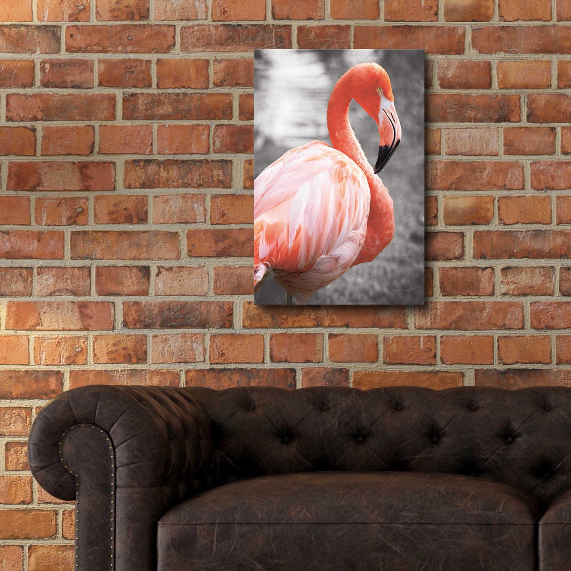 Epic Art 'Flamingo I on BW' by Debra Van Swearingen, Acrylic Glass Wall Art,16x24