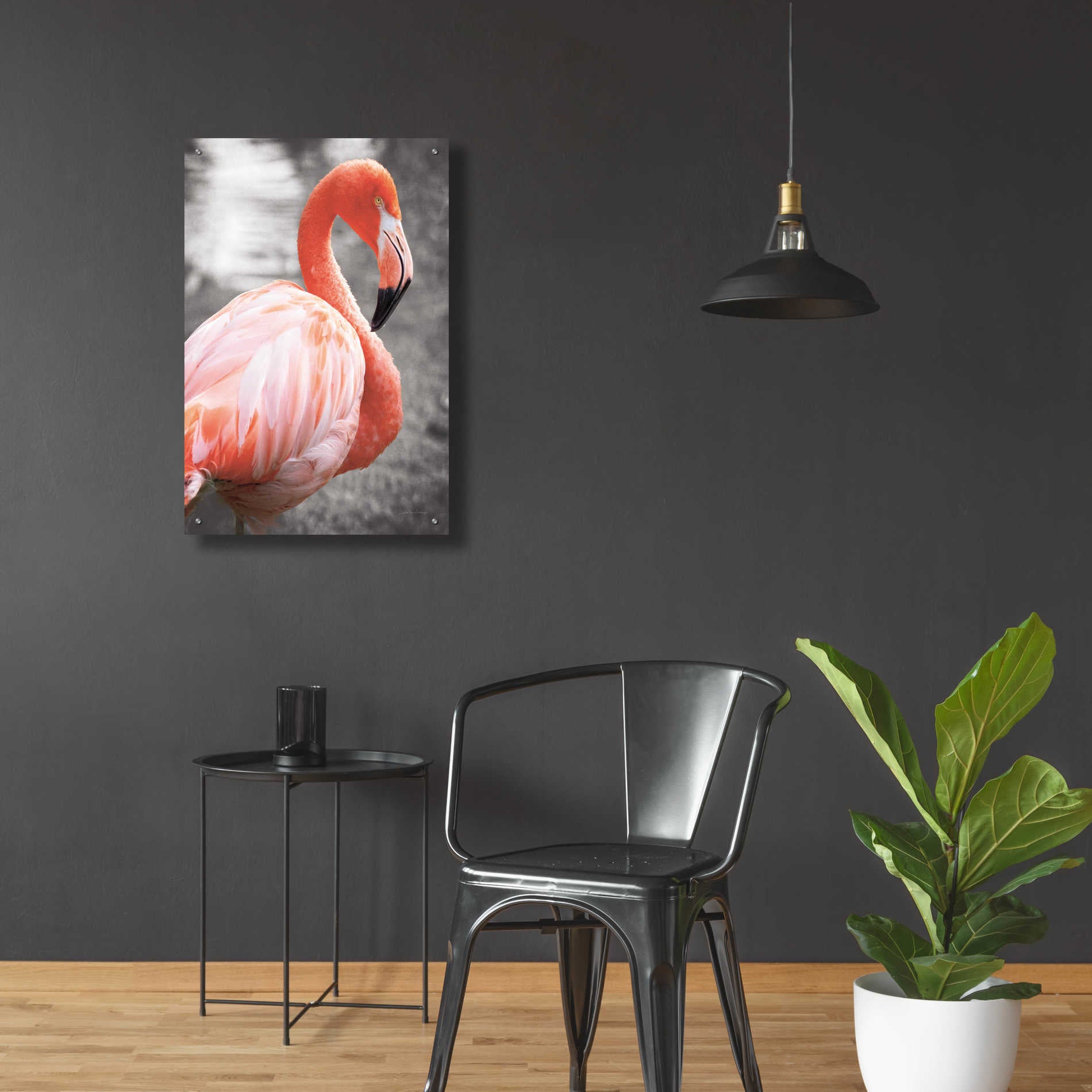 Epic Art 'Flamingo I on BW' by Debra Van Swearingen, Acrylic Glass Wall Art,24x36