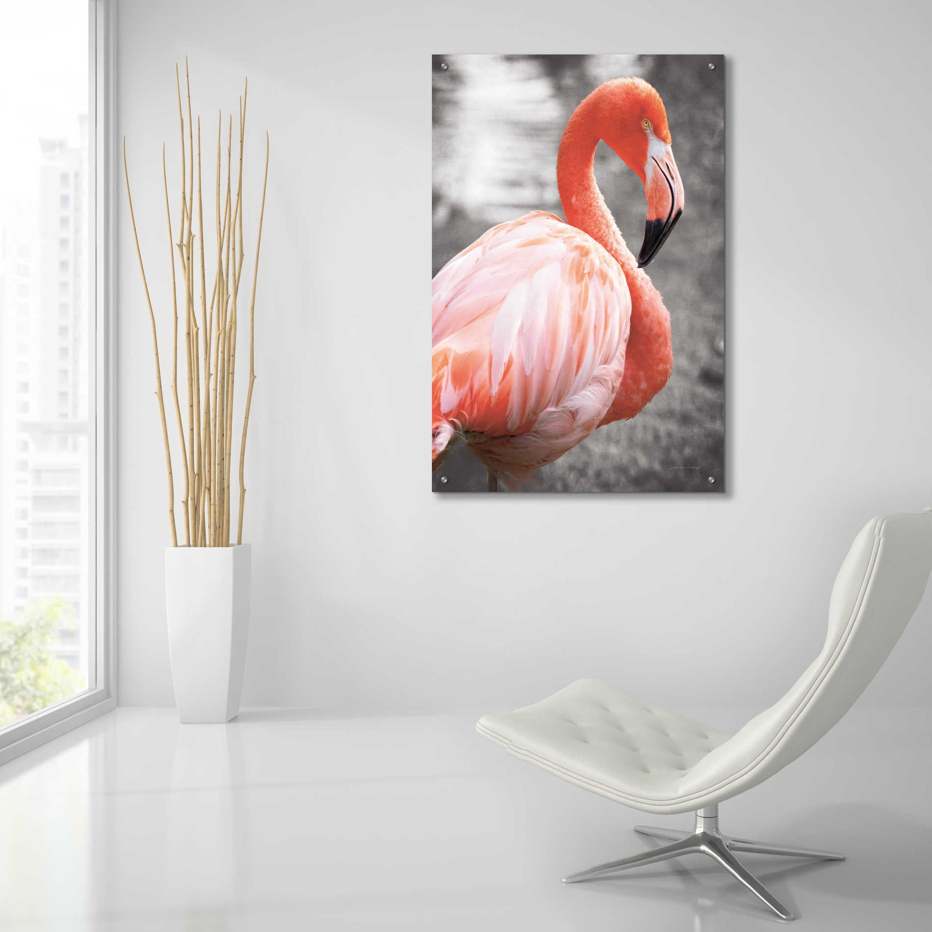 Epic Art 'Flamingo I on BW' by Debra Van Swearingen, Acrylic Glass Wall Art,24x36