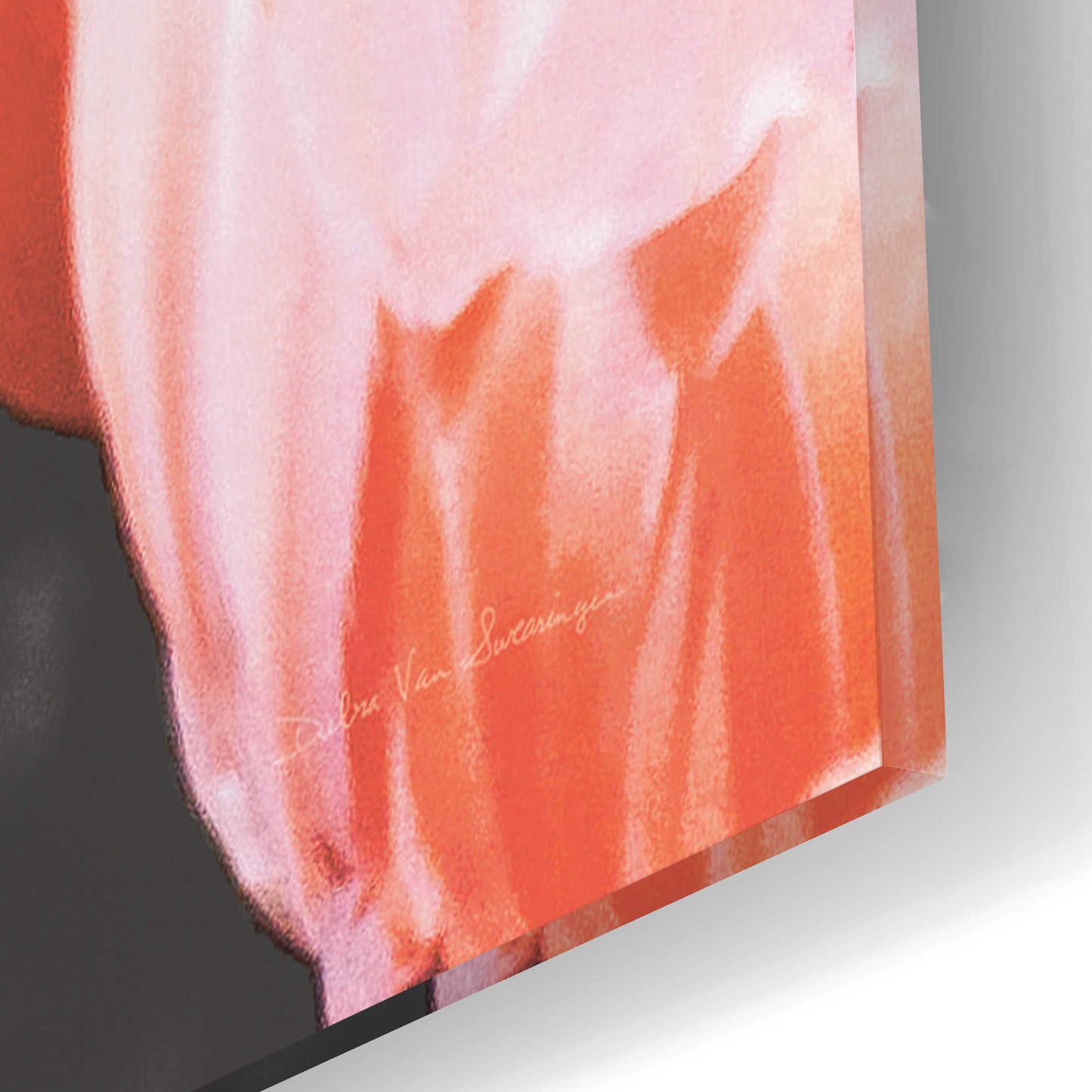 Epic Art 'Flamingo II on BW' by Debra Van Swearingen, Acrylic Glass Wall Art,12x16
