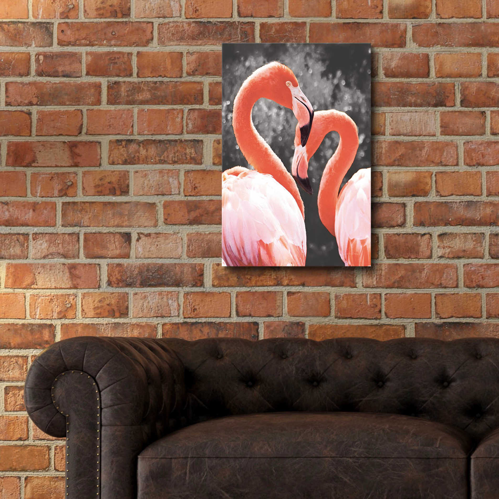 Epic Art 'Flamingo II on BW' by Debra Van Swearingen, Acrylic Glass Wall Art,16x24