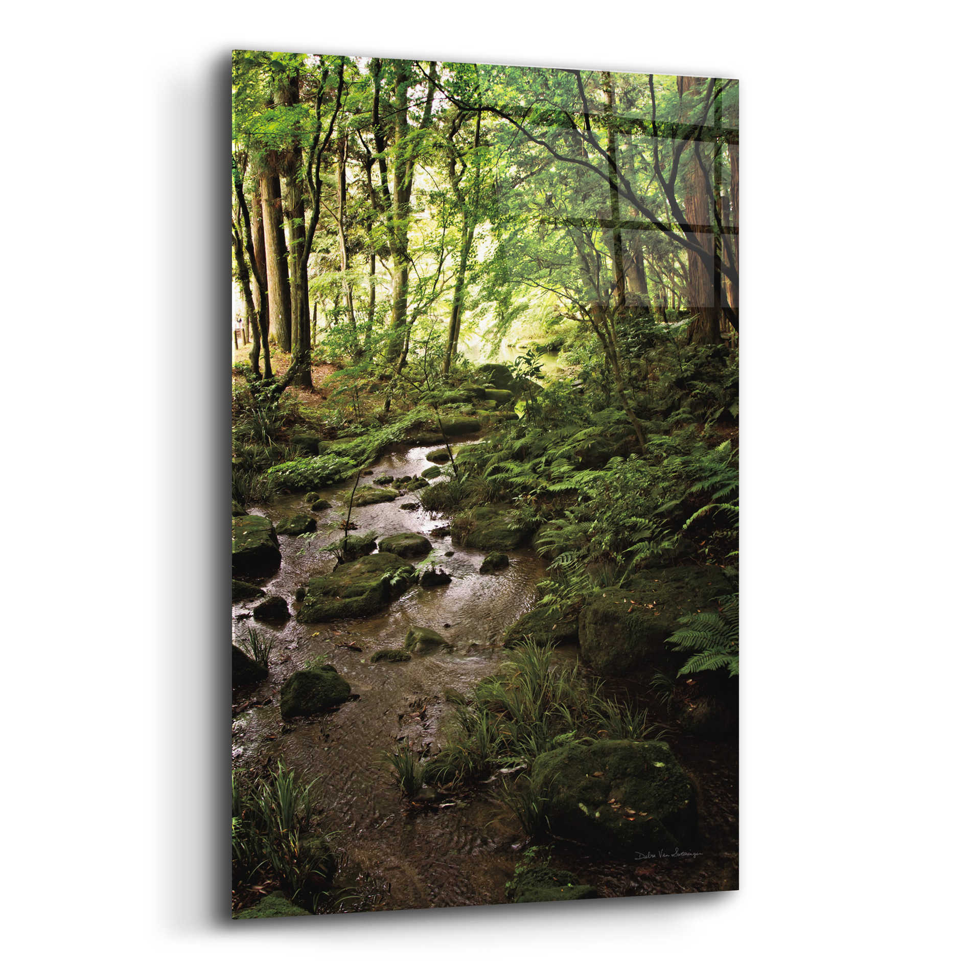 Epic Art 'Lush Creek in Forest' by Debra Van Swearingen, Acrylic Glass Wall Art,12x16