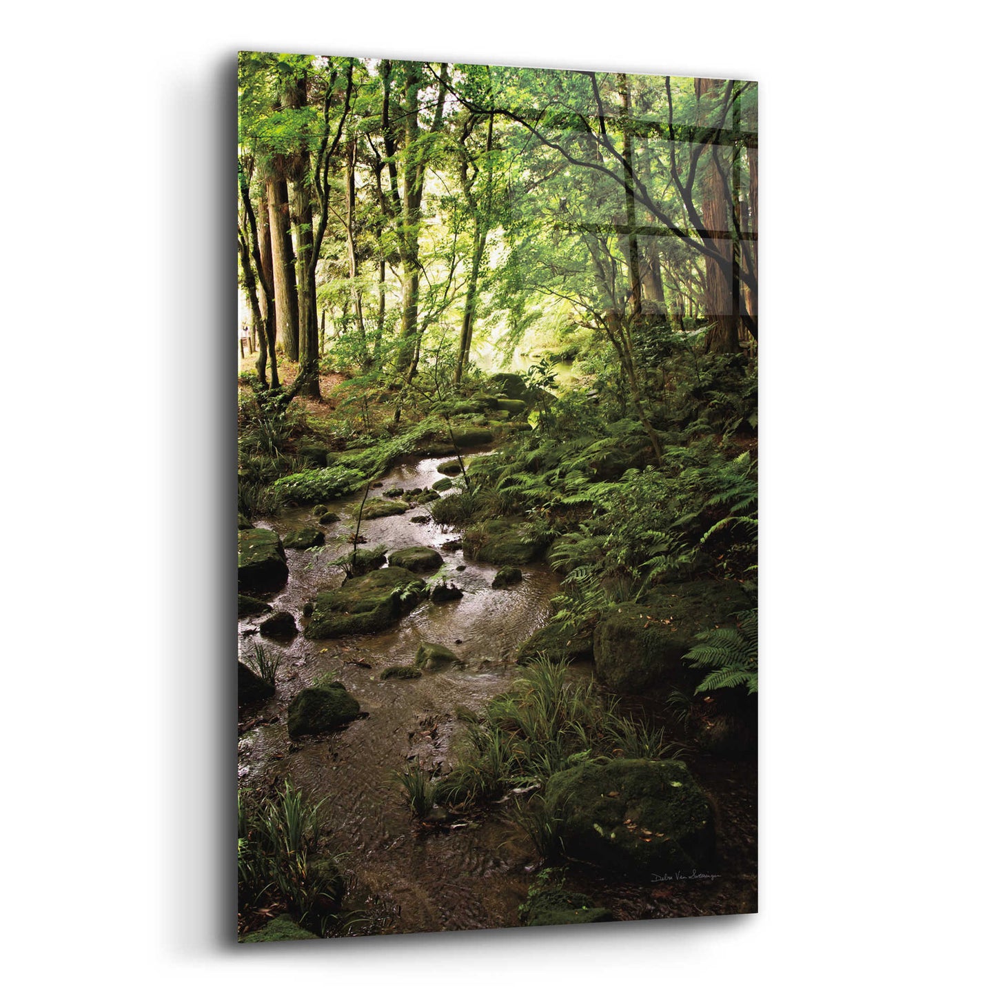 Epic Art 'Lush Creek in Forest' by Debra Van Swearingen, Acrylic Glass Wall Art,16x24