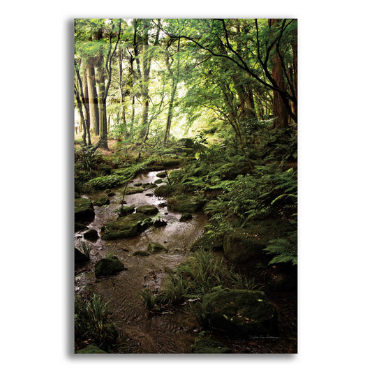 Epic Art 'Lush Creek in Forest' by Debra Van Swearingen, Acrylic Glass Wall Art