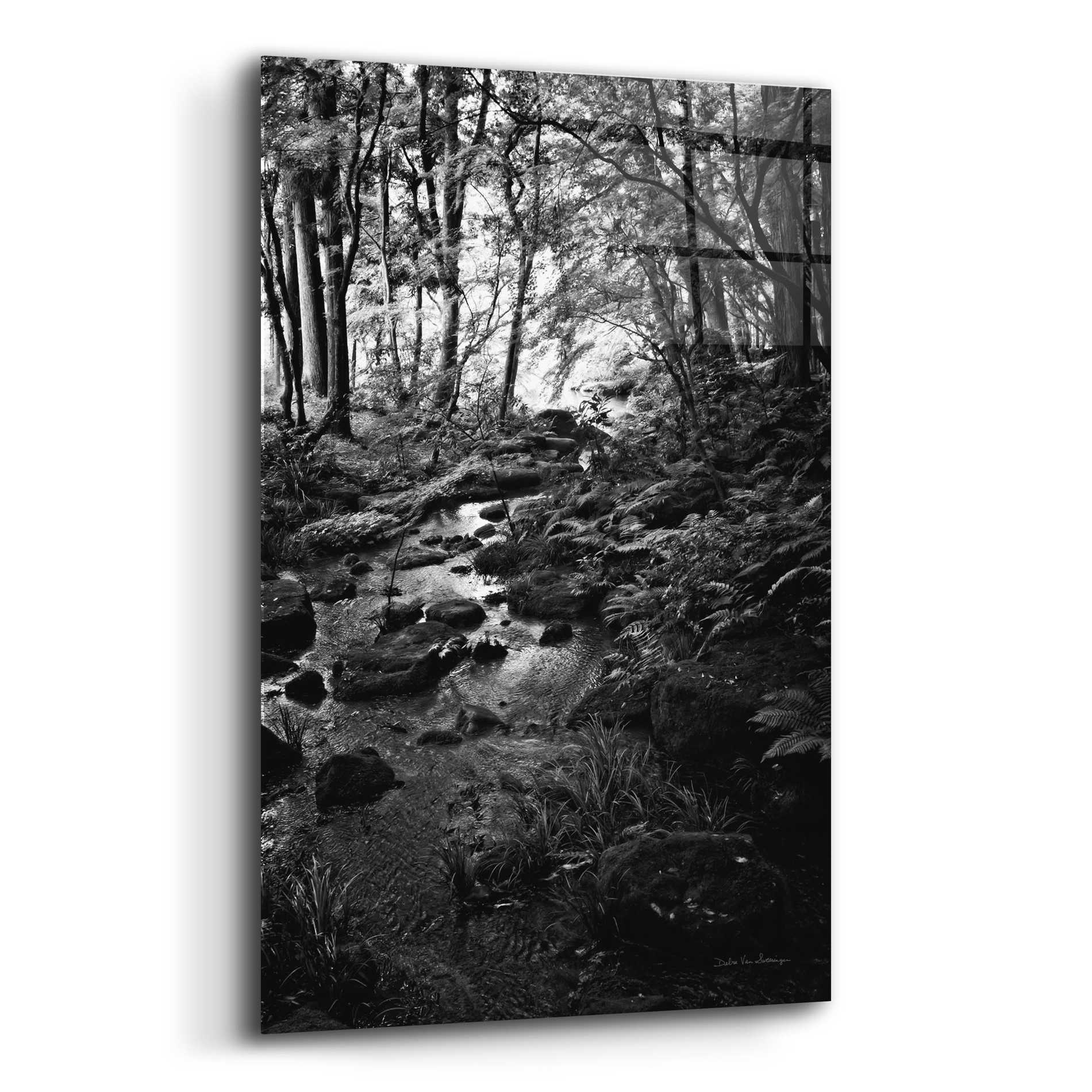 Epic Art 'Lush Creek in Forest BW' by Debra Van Swearingen, Acrylic Glass Wall Art,12x16