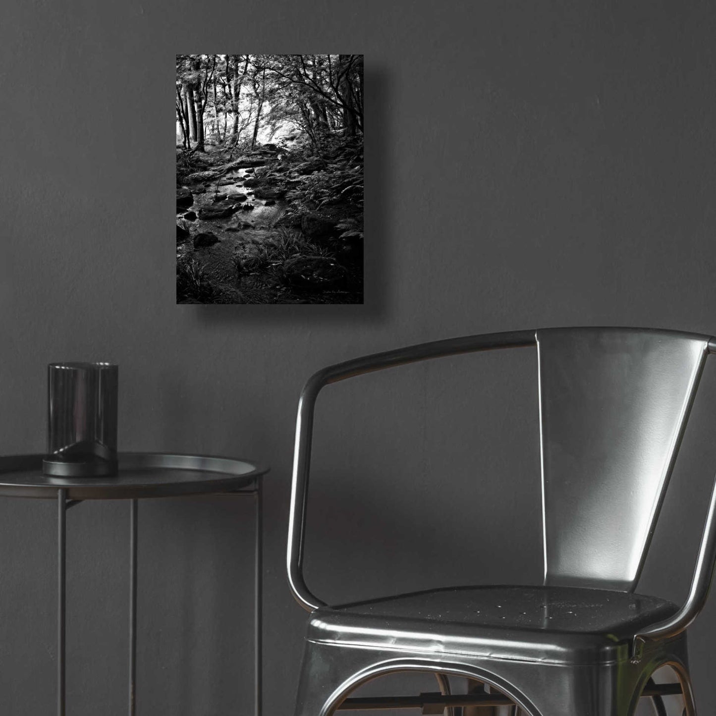 Epic Art 'Lush Creek in Forest BW' by Debra Van Swearingen, Acrylic Glass Wall Art,12x16